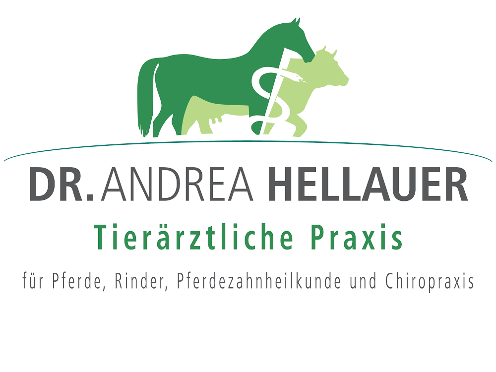 Ansicht 2 von Tierarztpraxis Dr. Hellauer - Pferde+Großtiere