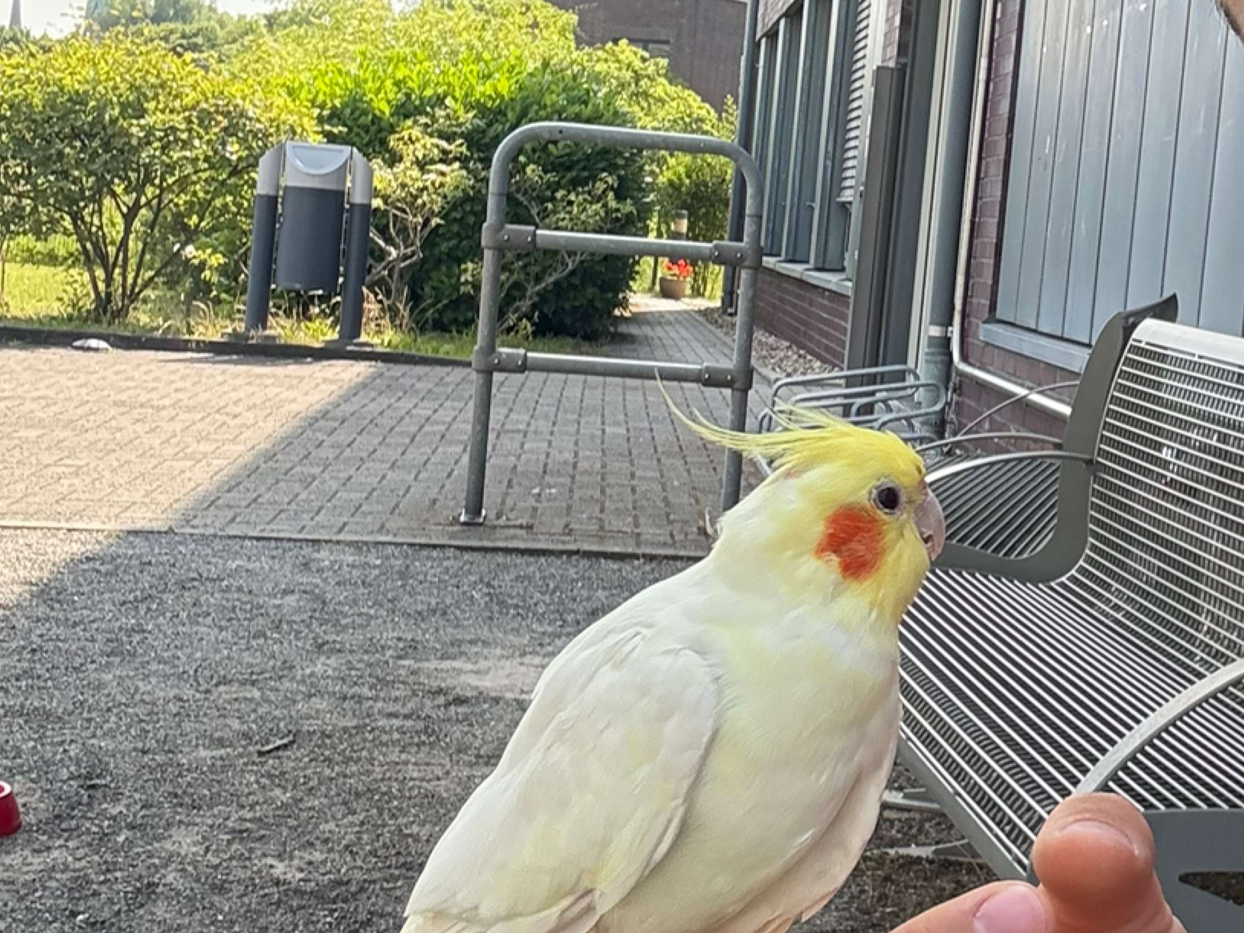 Ansicht 1 von Taubenklinik Essen