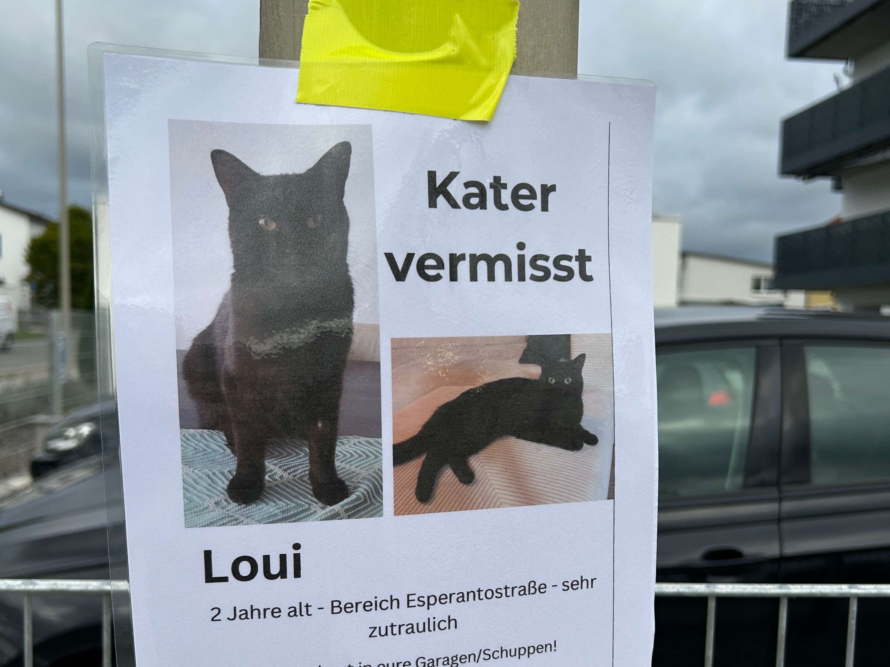 Ansicht 1 von Kleintierpraxis Dr. vet. med. Barbara Bäumler