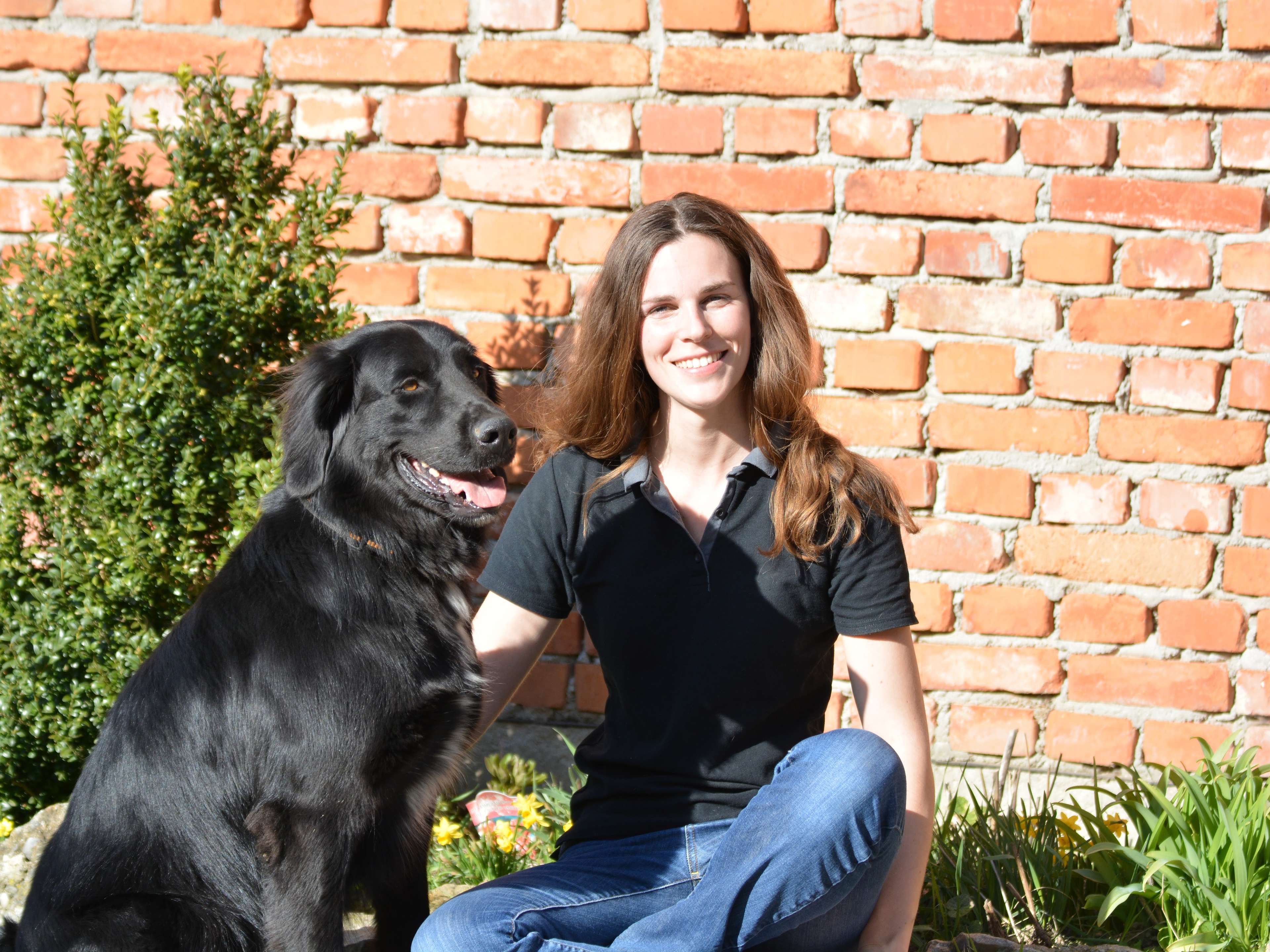 Ansicht 1 von Veterinärchiropraktik Lara Schulz