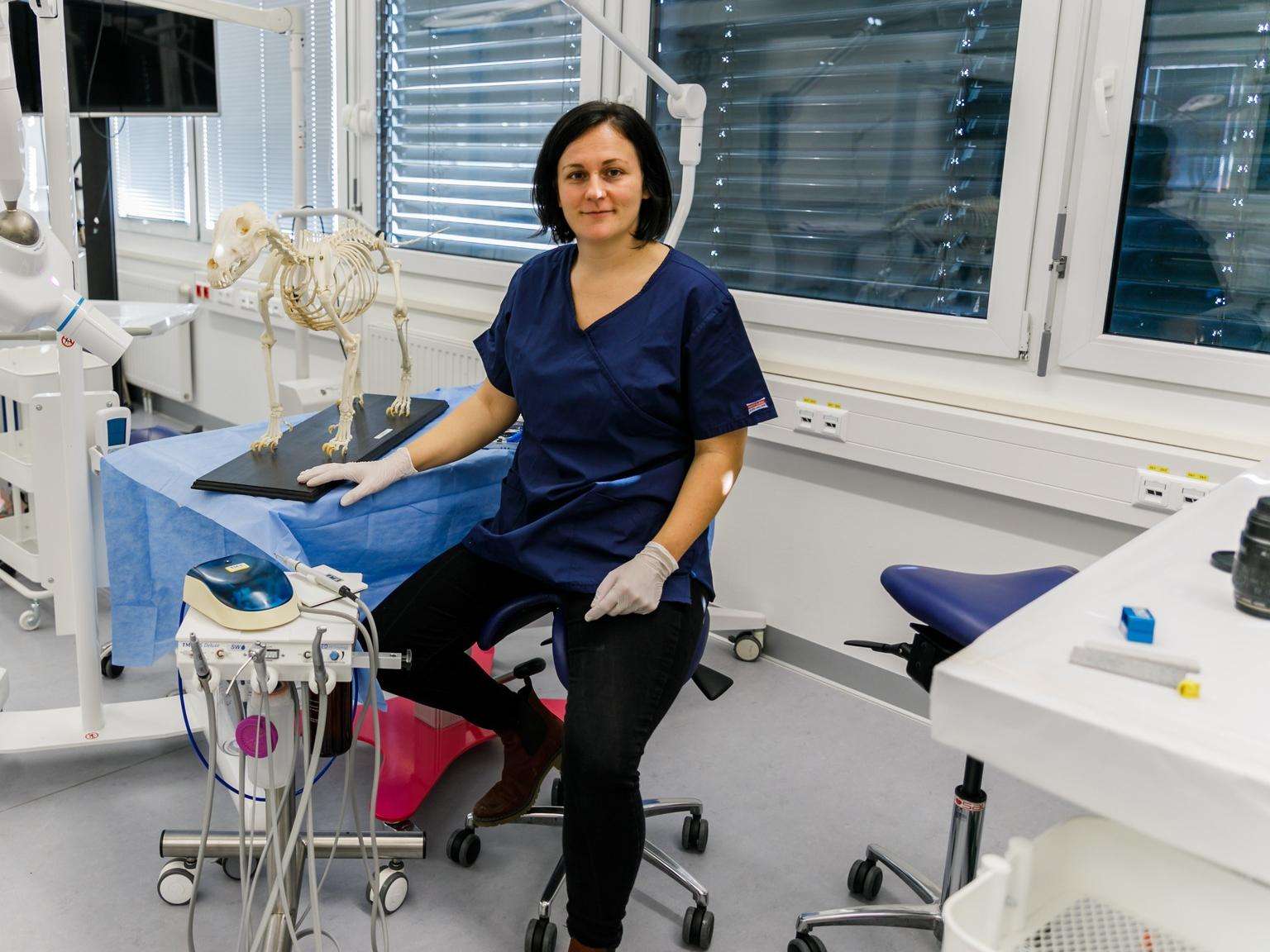 Ansicht 1 von Zahntierärztin - Mag.med.vet. Christina Winter