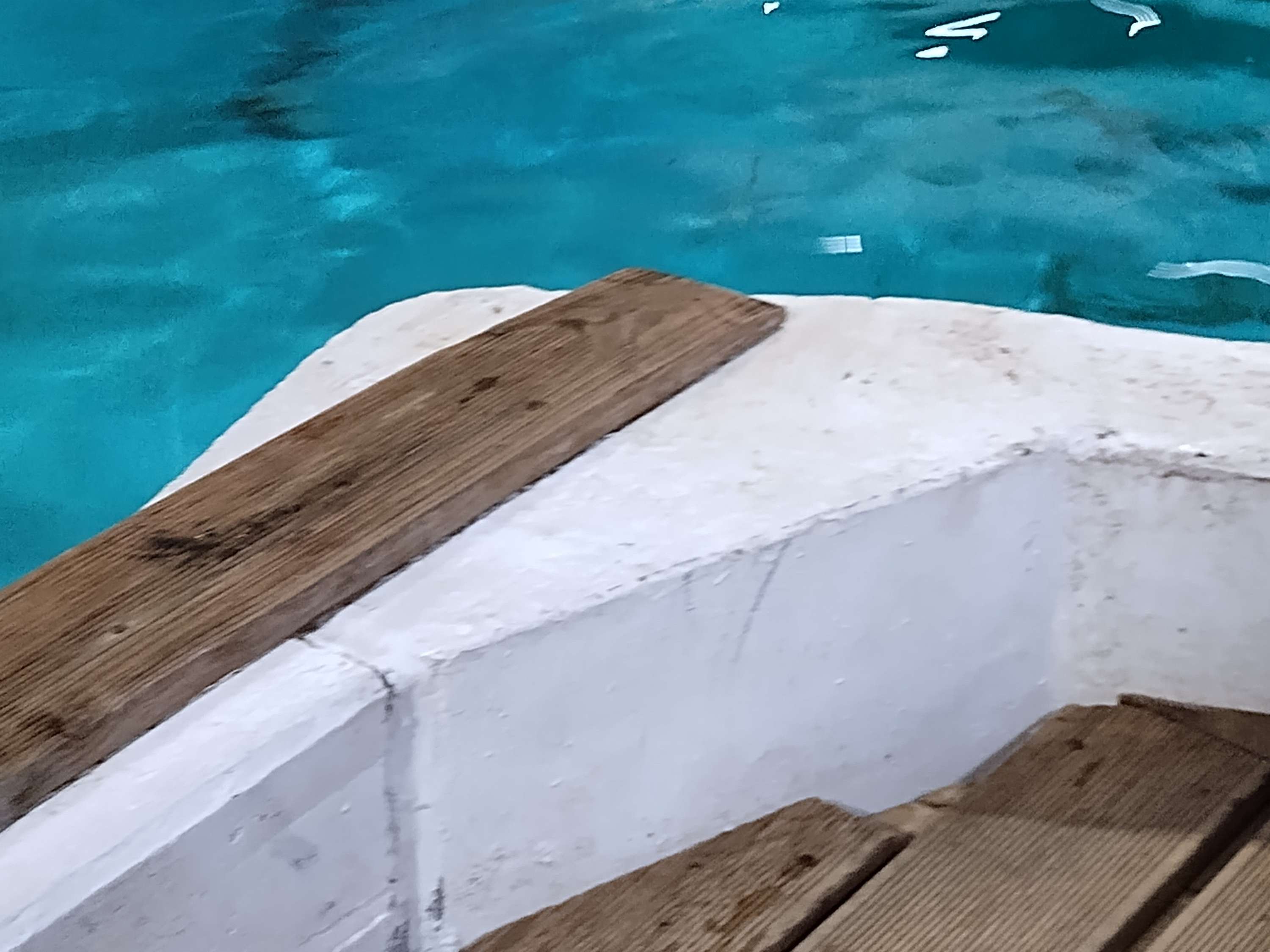 Ansicht 2 von Tiermedizinisches Behandlungszentrum (TMBZ)