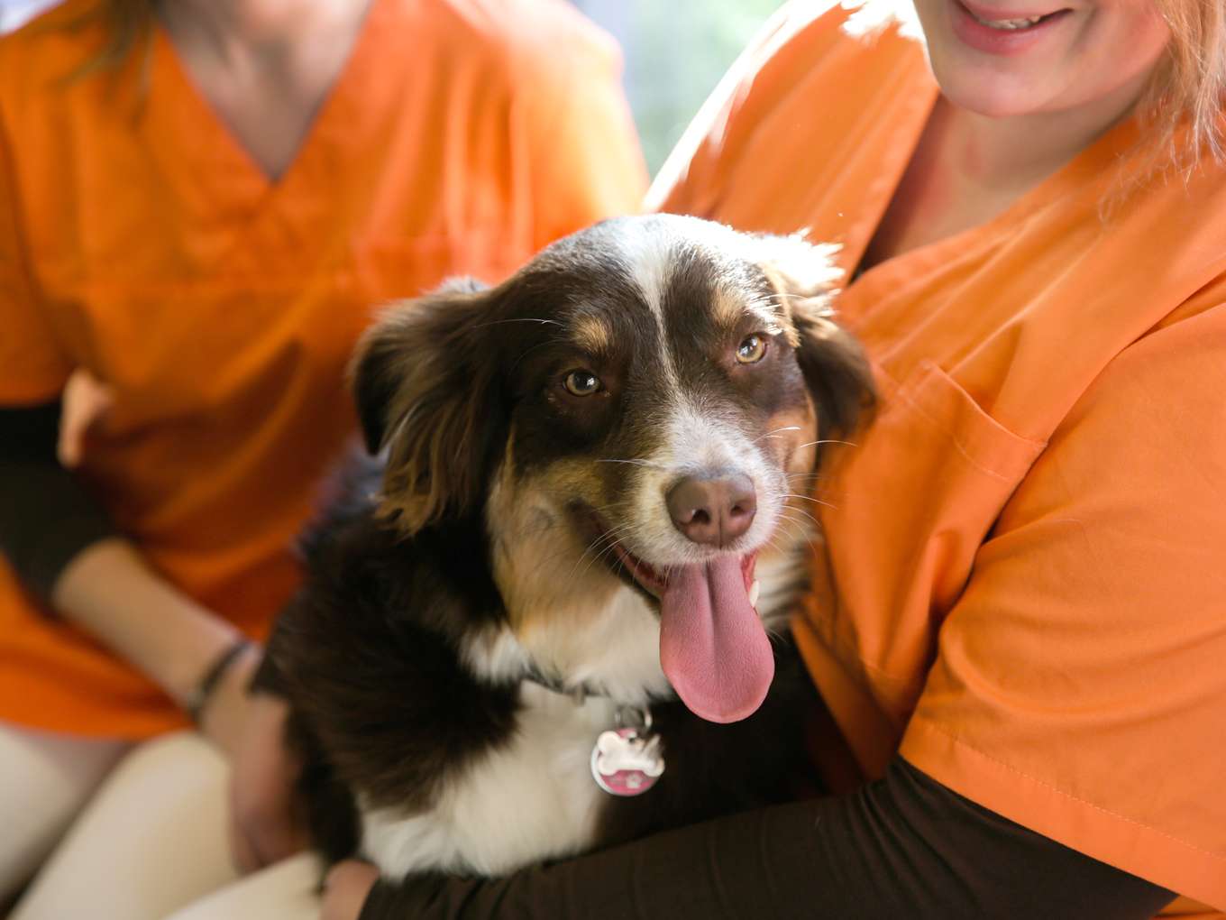 View 2 of Dr. med.vet. Sandra Bühler-Leuchte / Tierärztin