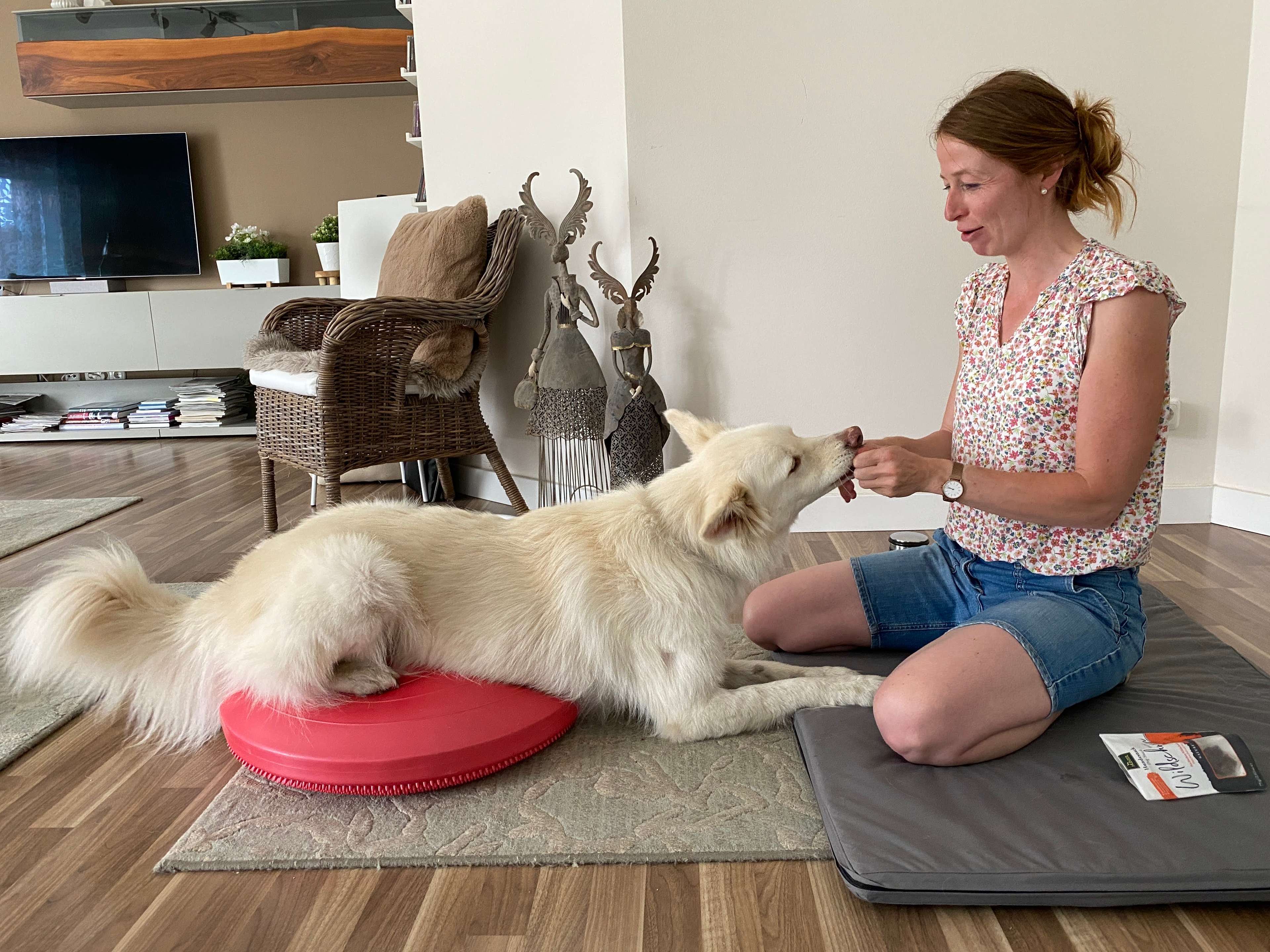 Ansicht 1 von Tierphysiotherapie Susan Diezemann