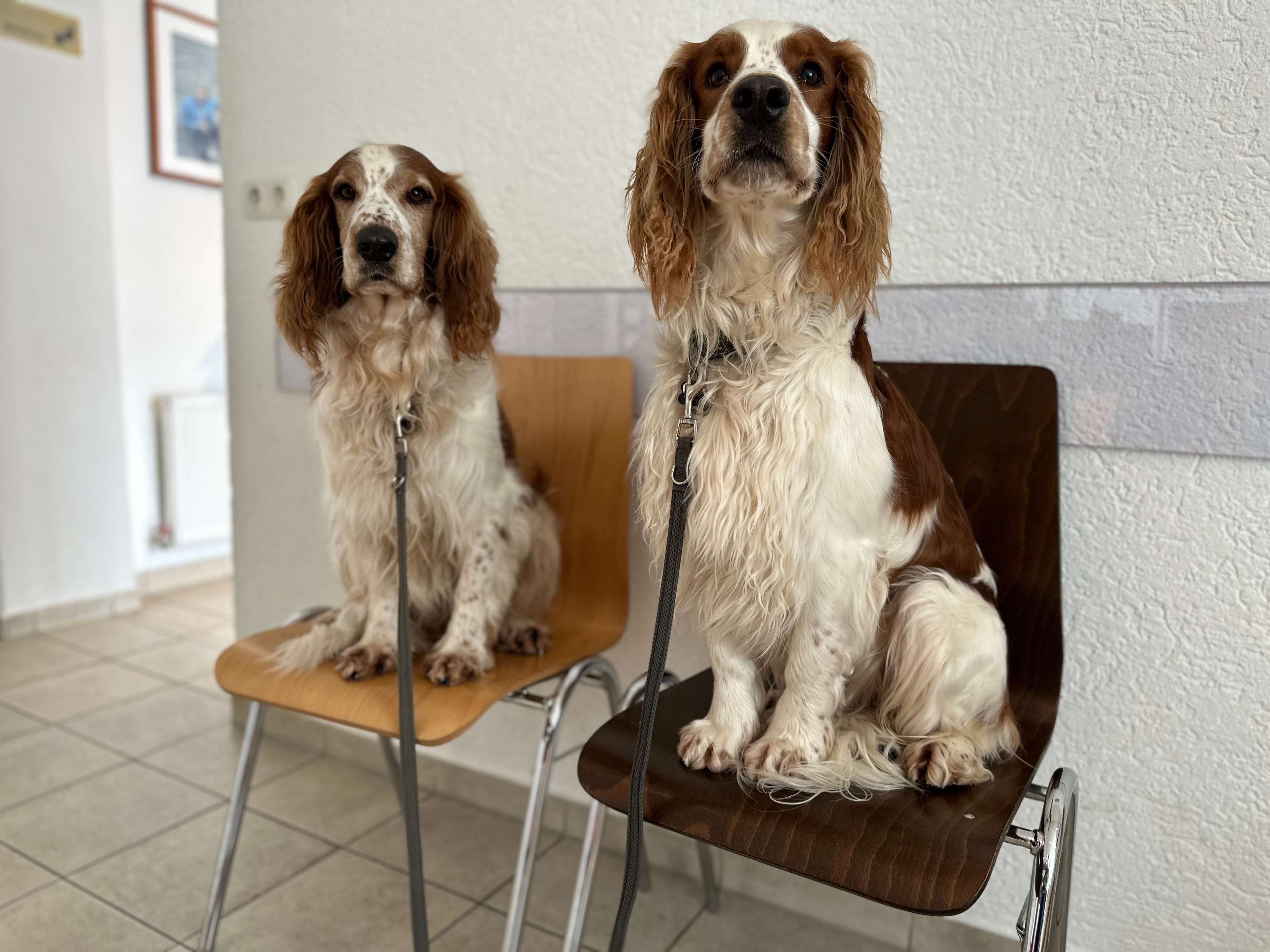 Ansicht 1 von Tierarztpraxis Dr. Roger Bour & Dr. Claudia Thiel-Bour