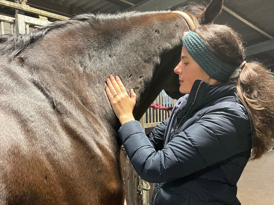 Ansicht 3 von Tierärztin für Chiropraktik, Osteopathie, Rehapraxis für Tiere