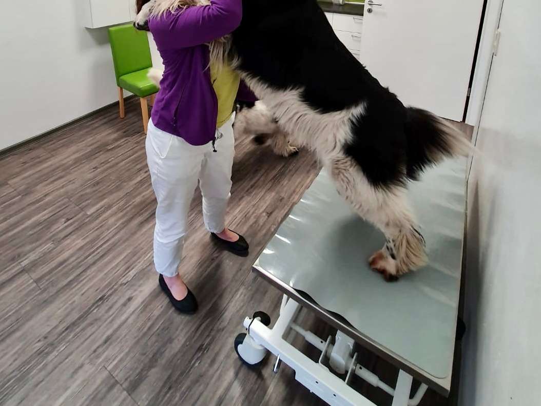 Ansicht 3 von Tierarztpraxis Jaderberg