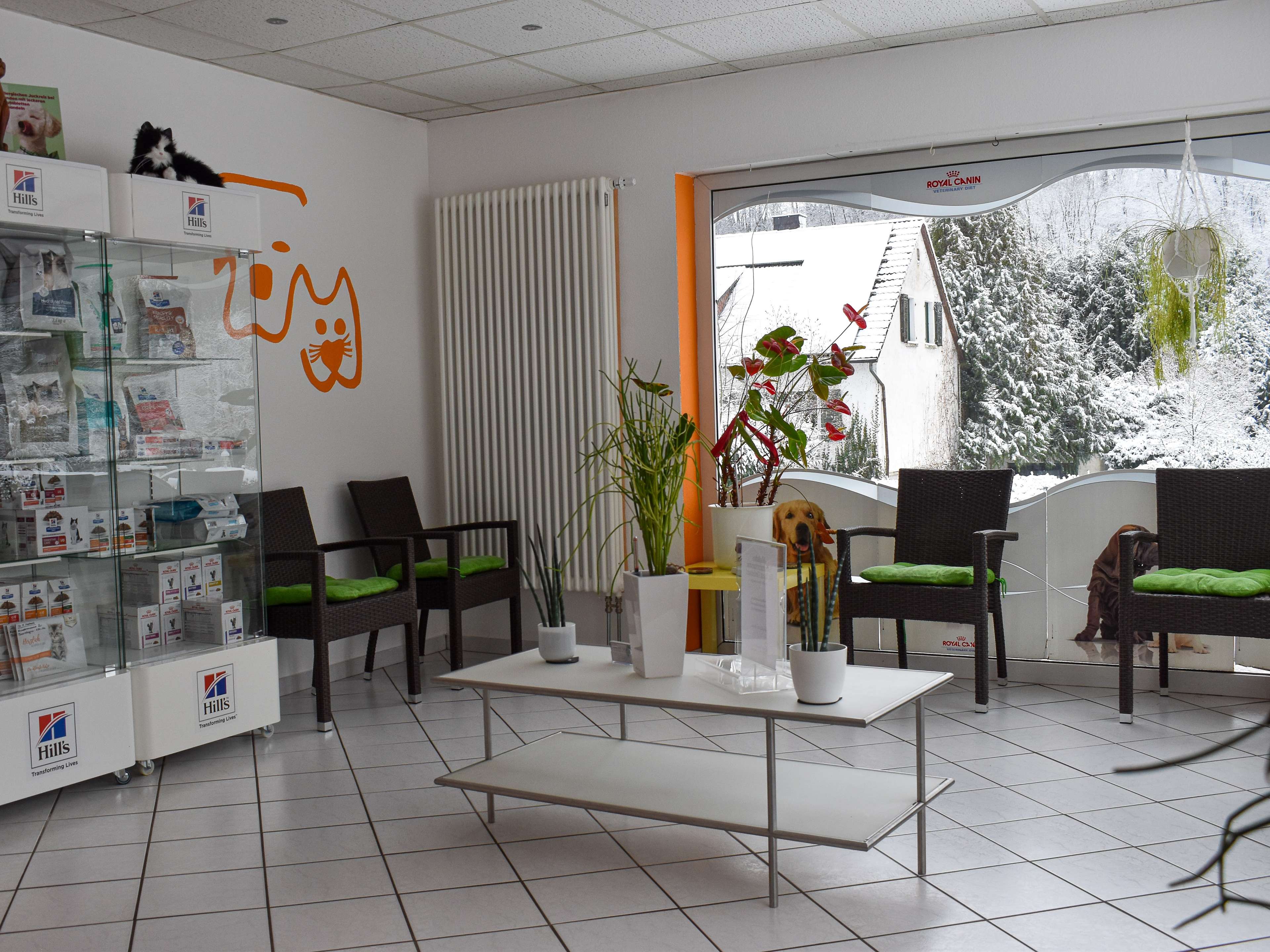 View 2 of Dr.med.vet. Annerose Mosbach Tierärztin