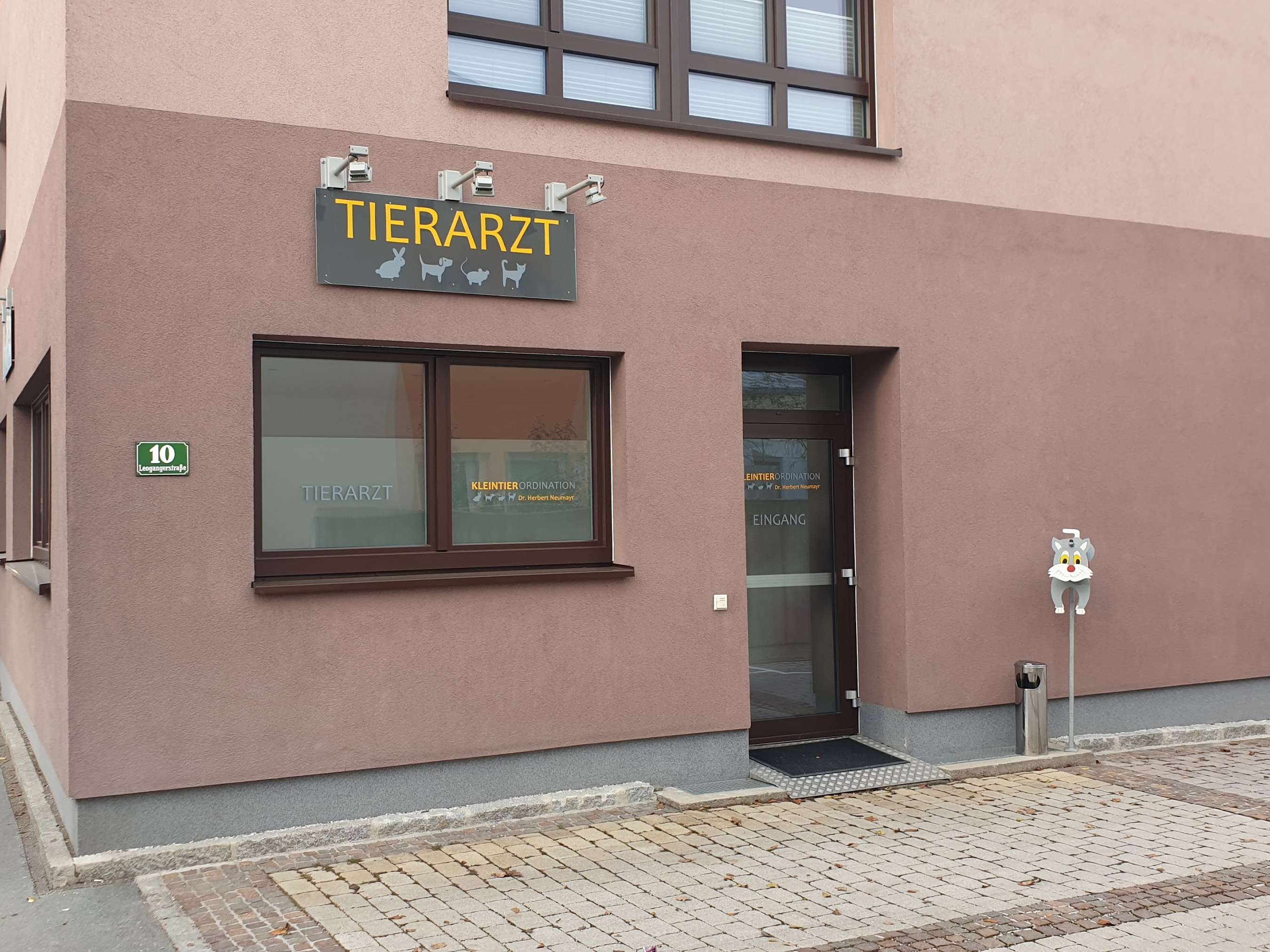 Ansicht 2 von Mag. Michaela Neumayr