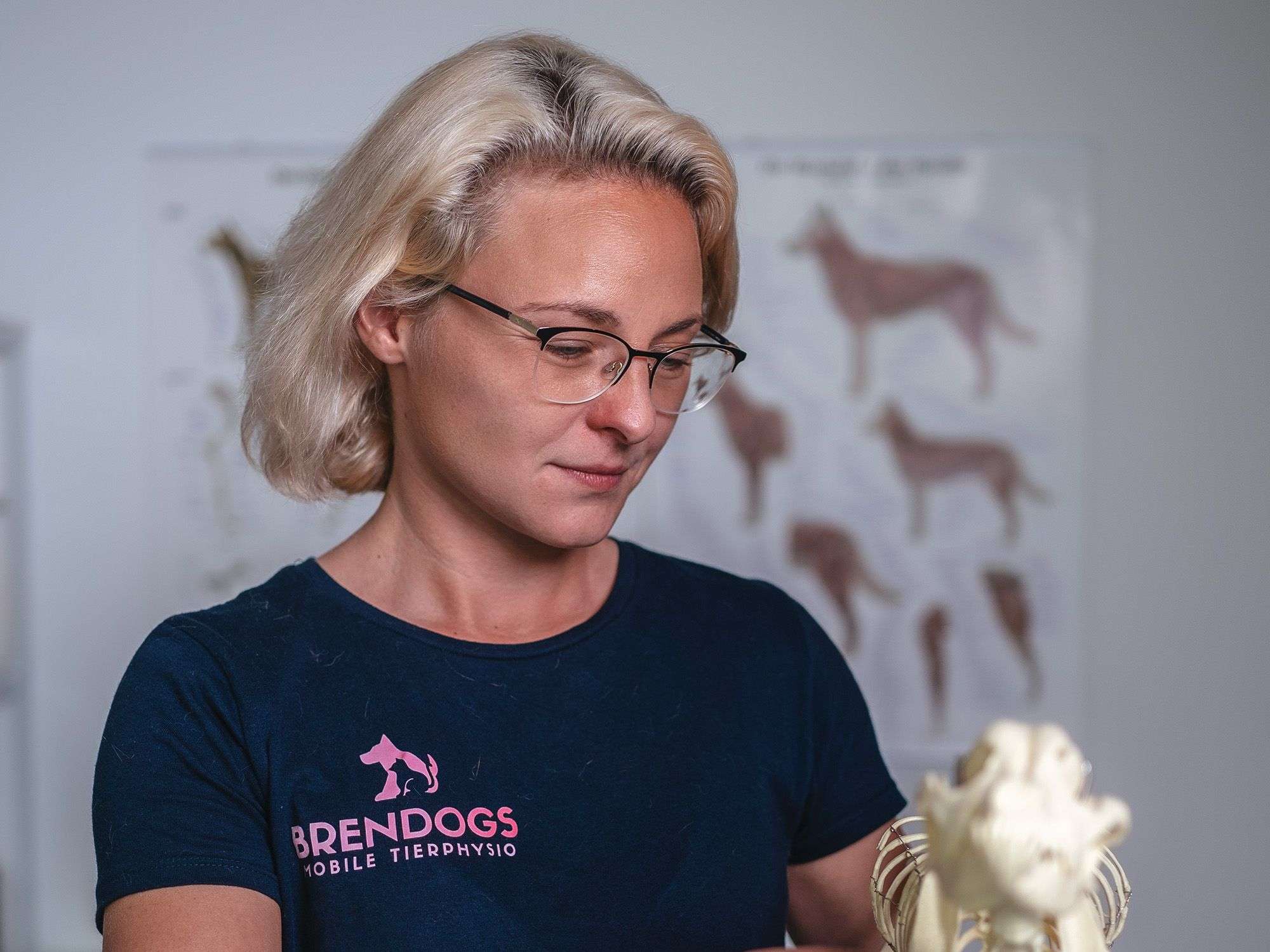 Ansicht 3 von Brendogs mobile Tierphysio