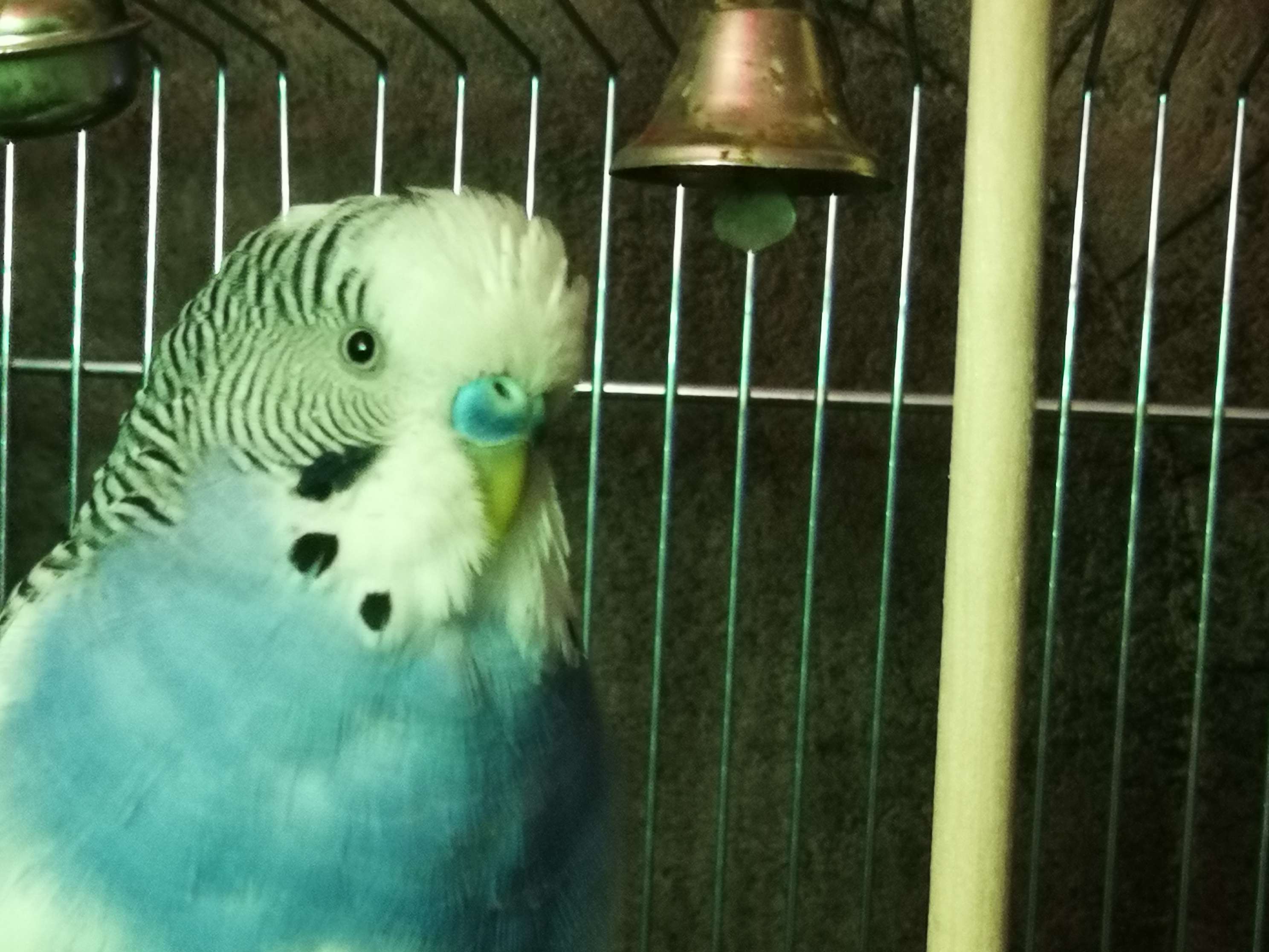 Ansicht 1 von Dr.med.vet. Wulf Stubbe Tierarzt