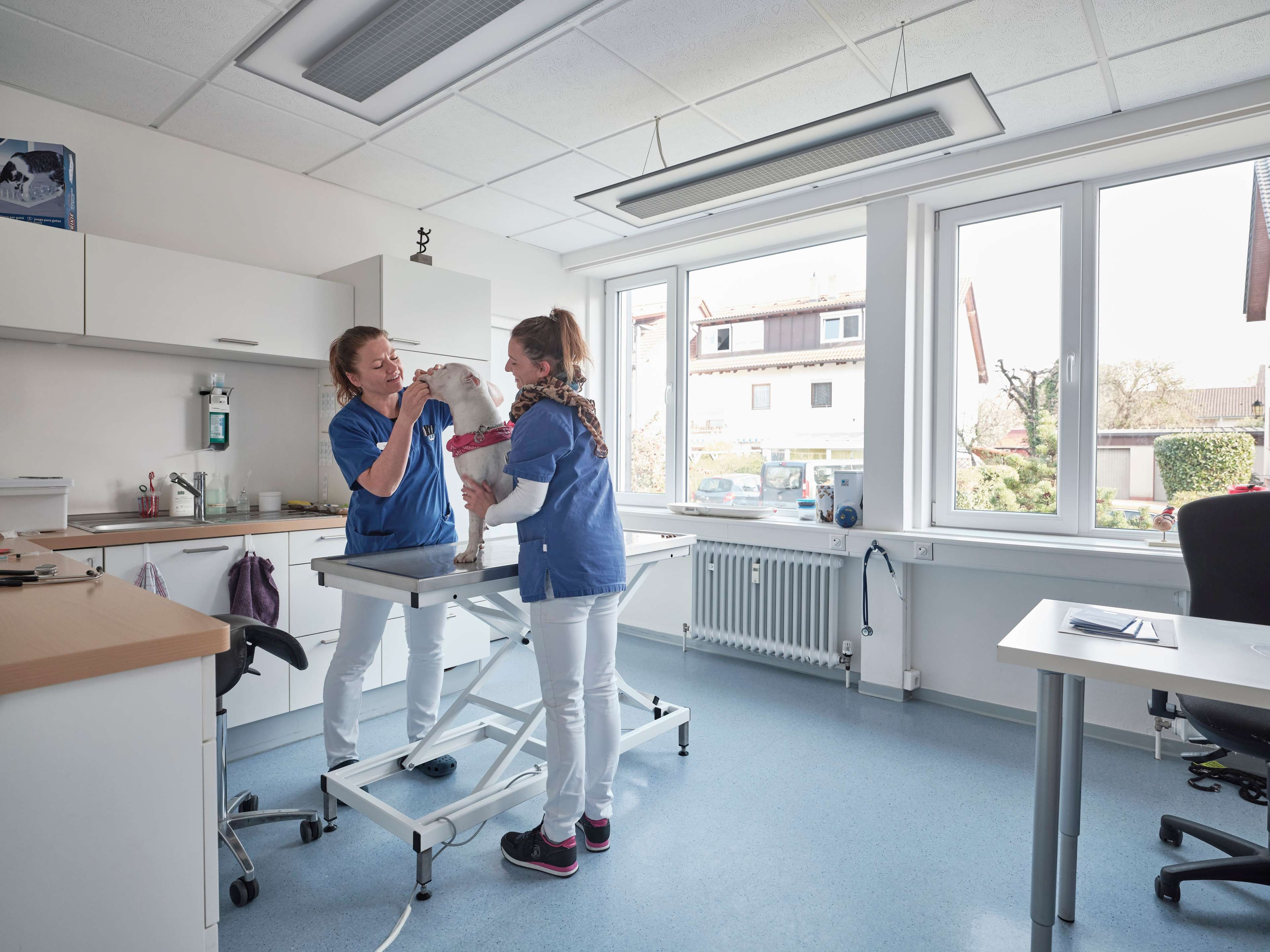 Ansicht 1 von Kleintierpraxis Müllheim