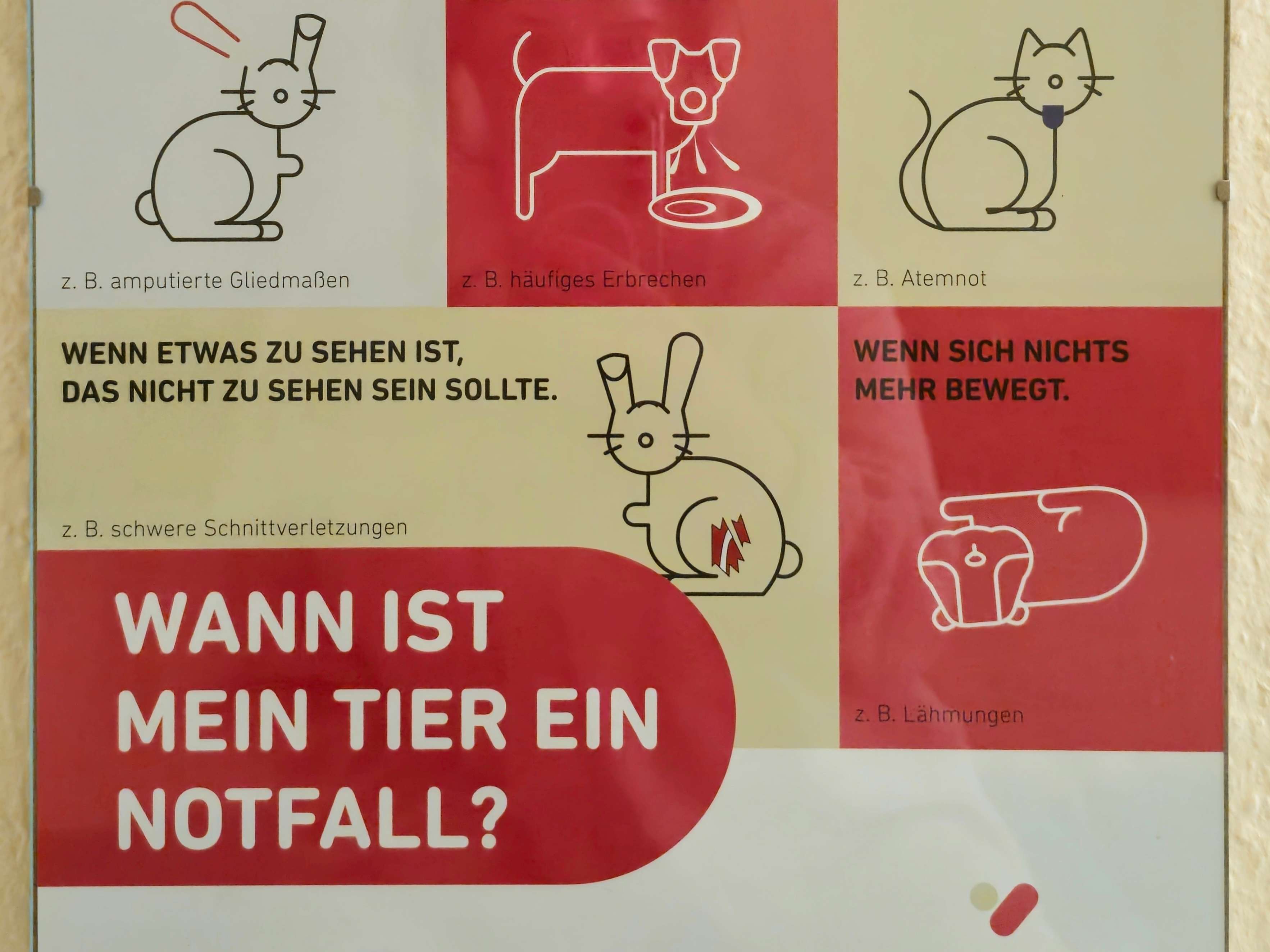 Ansicht 2 von Kleintierpraxis Riedel Plauen