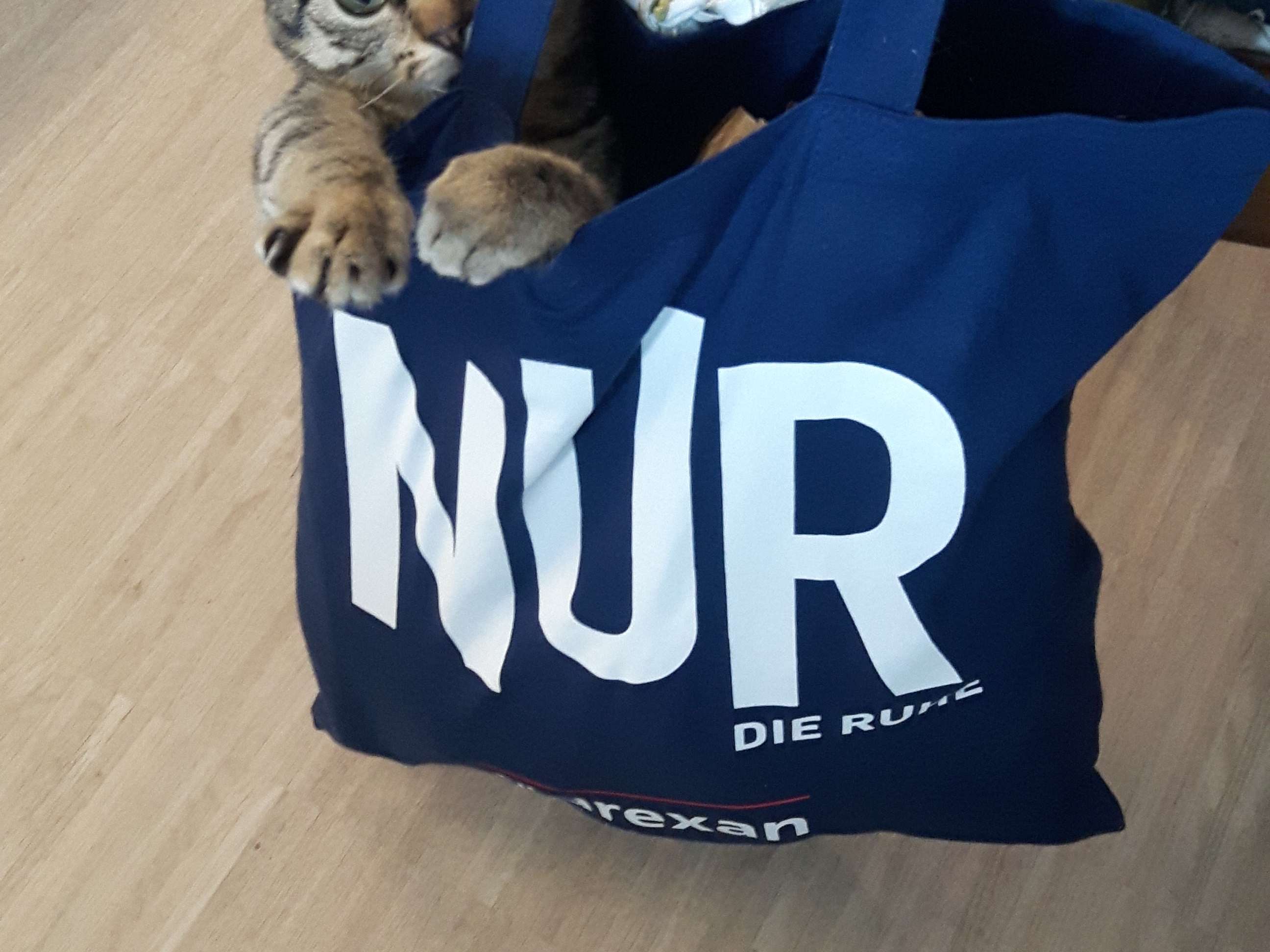 Ansicht 1 von Dr. Zimmer-Püsch