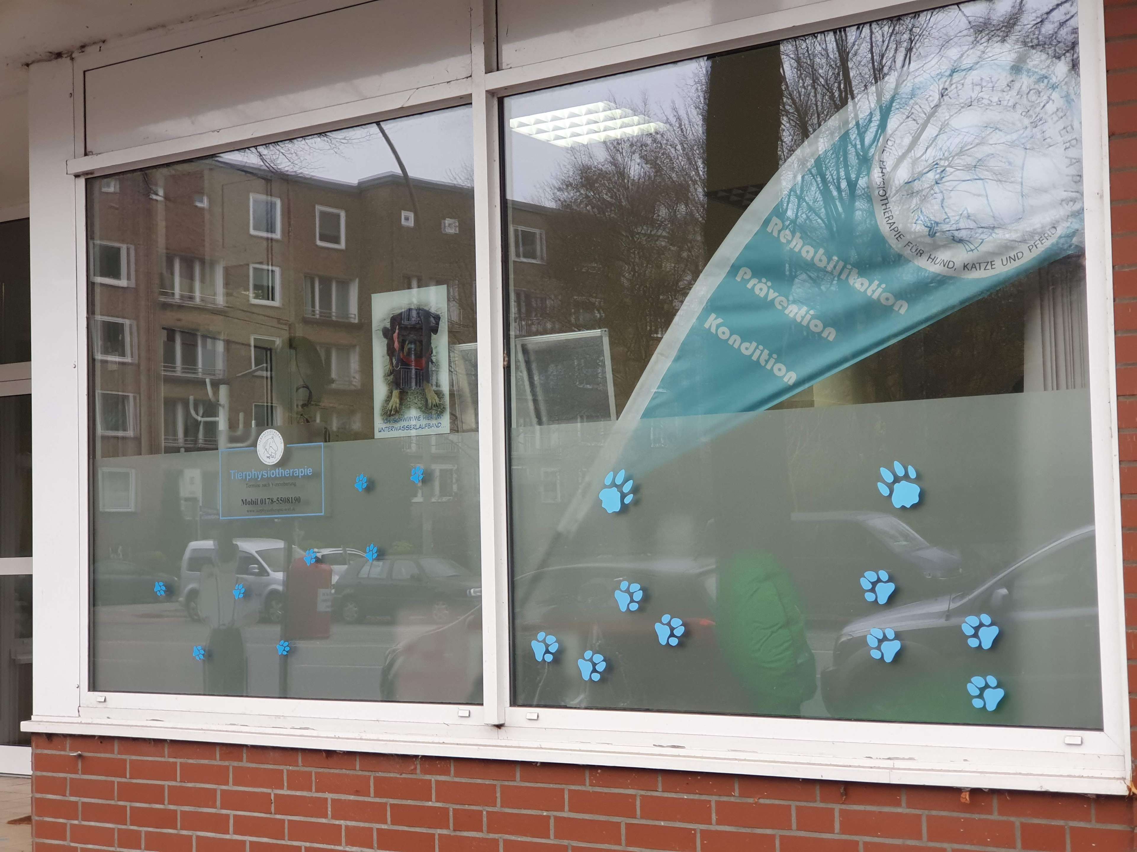 Ansicht 3 von Tierphysiotherapie Jessica Wirl