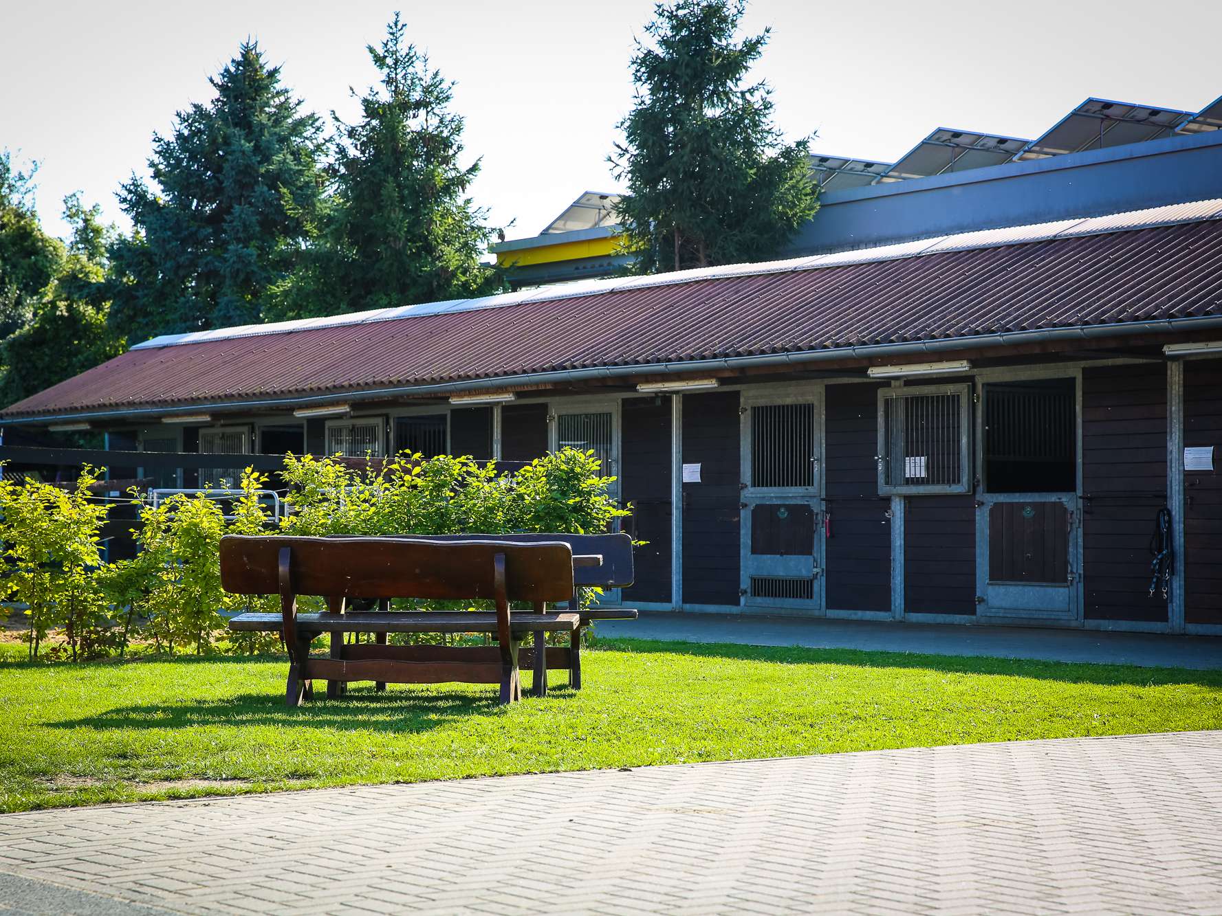 Ansicht 3 von Zentrum für Pferdemedizin Königslutter