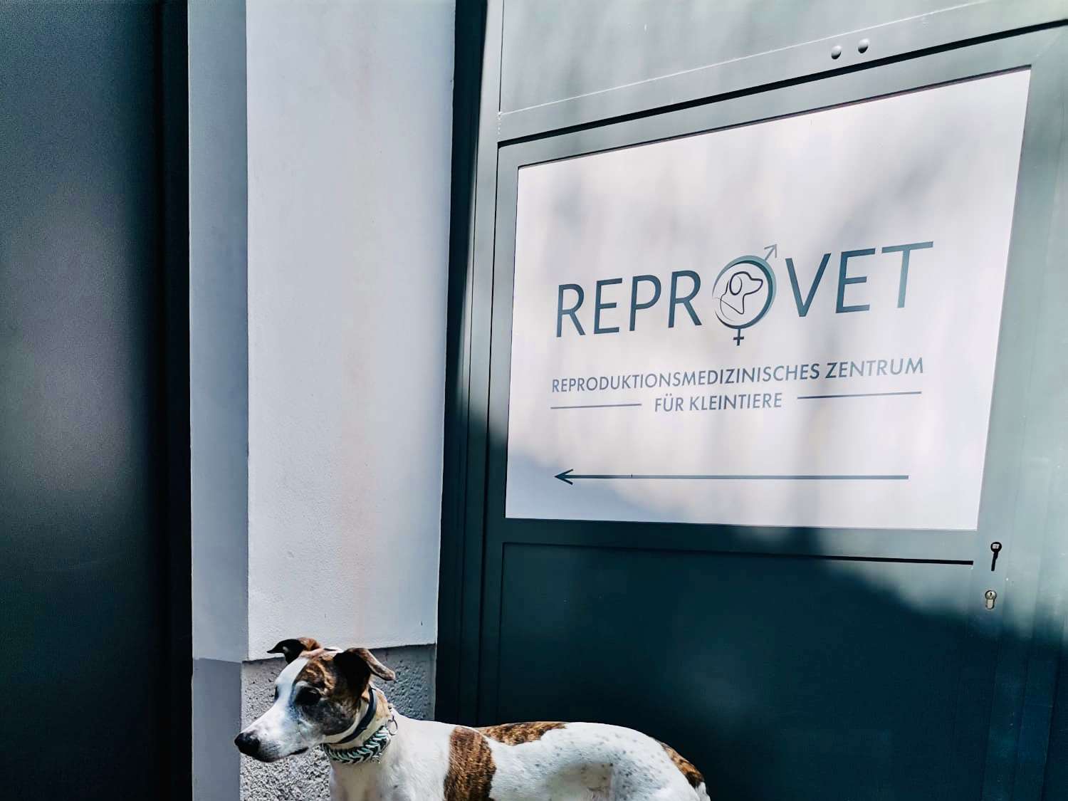 Ansicht 2 von REPROVET