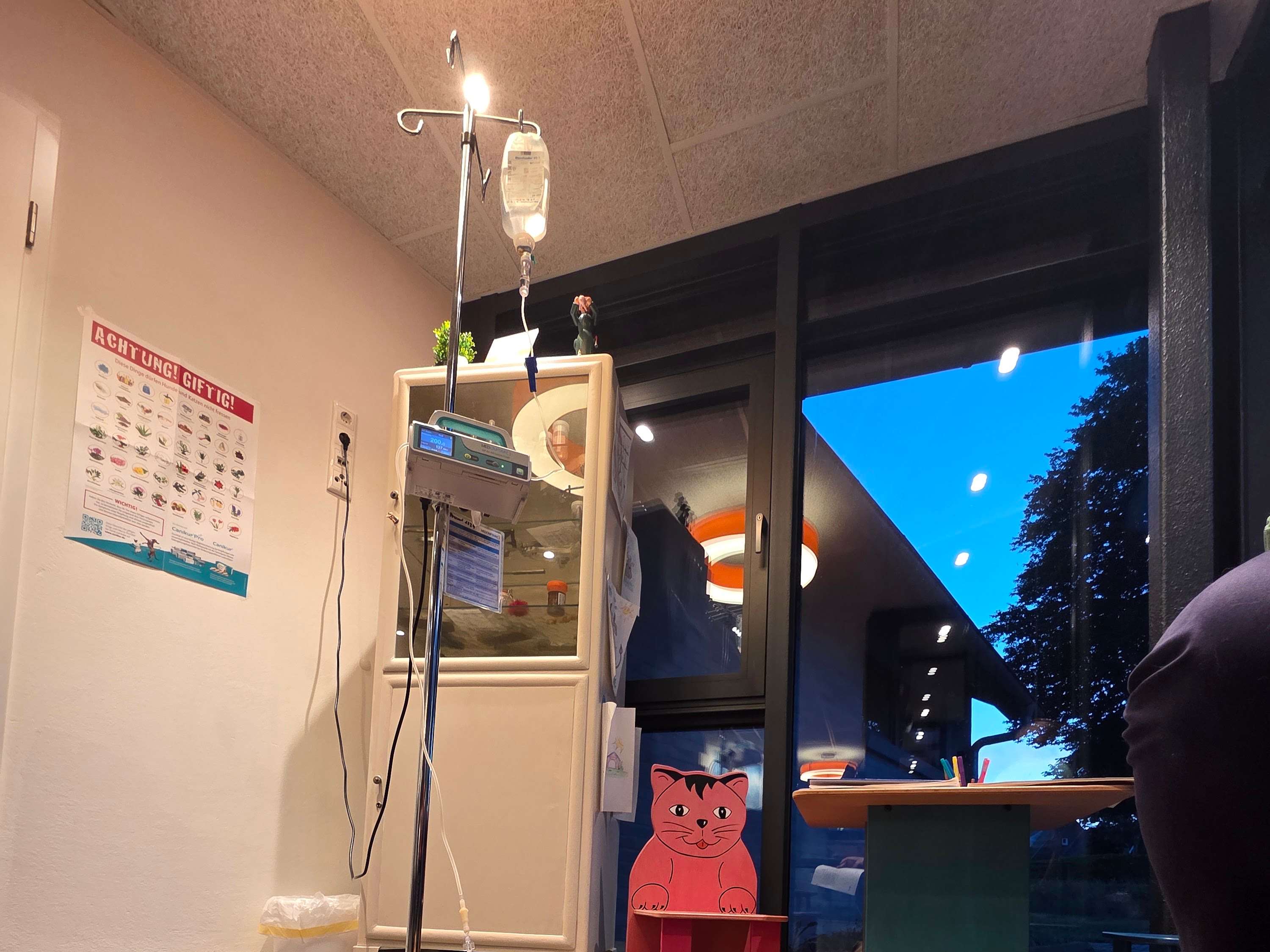 Ansicht 1 von Gezeiten Tierärzte IVC Evidensia GmbH