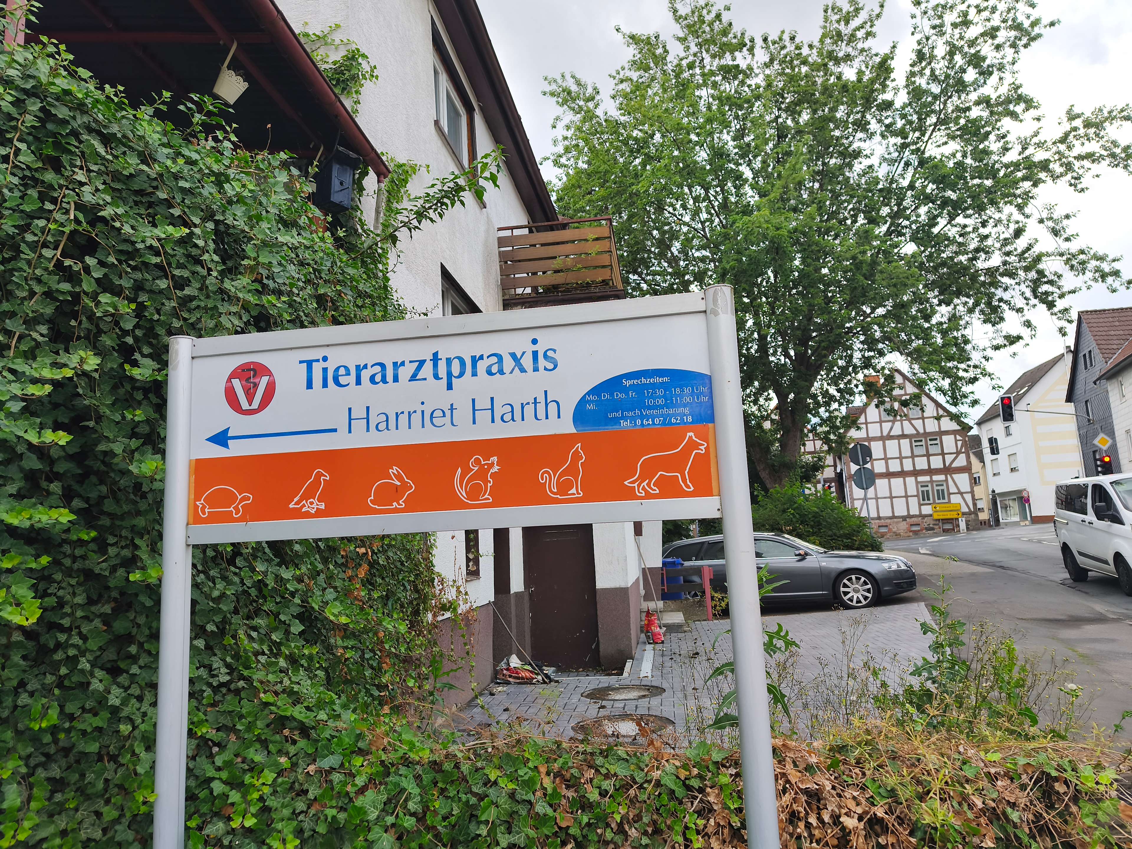 Ansicht 1 von Harriet Harth Tierarzt