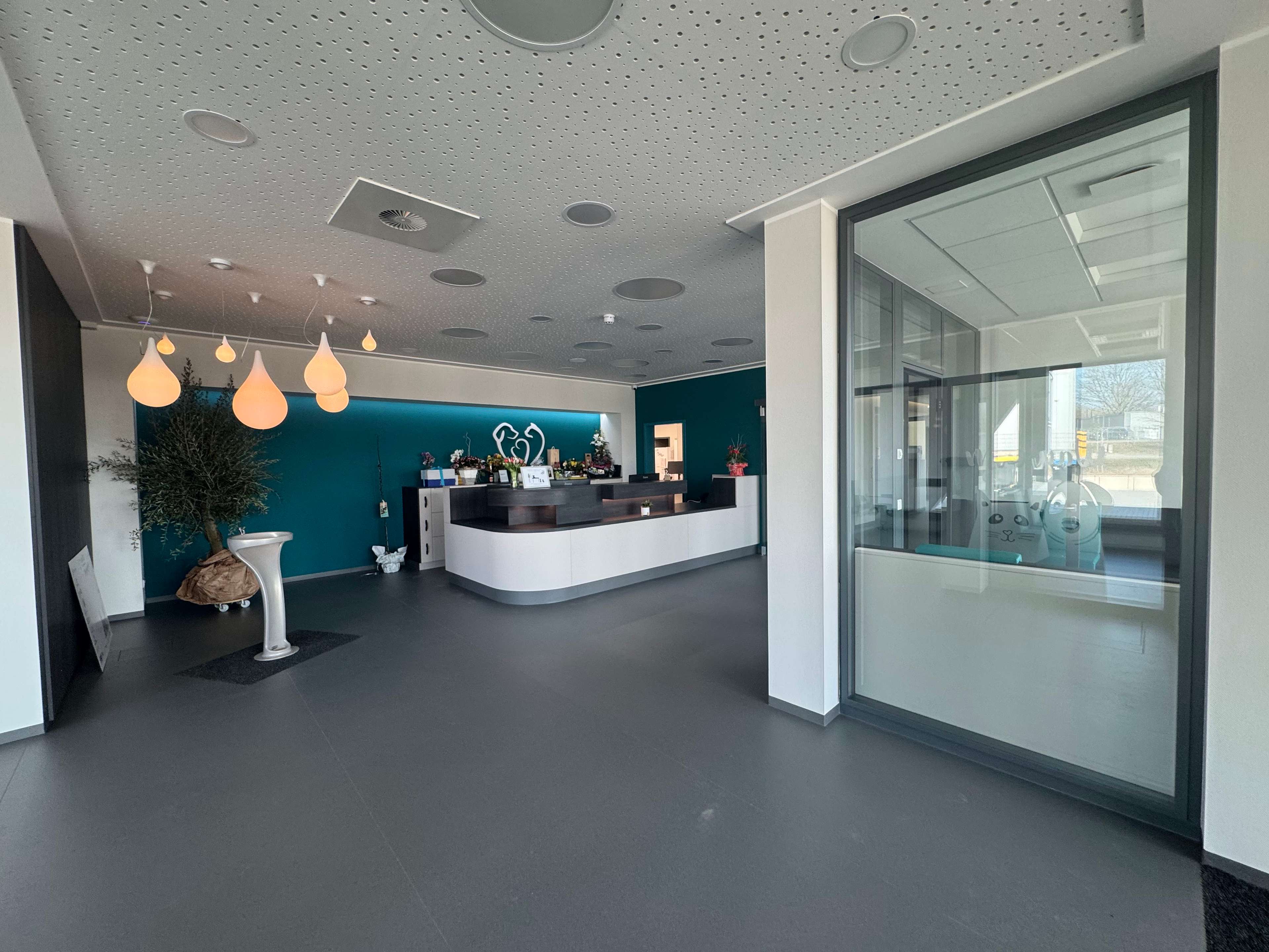 Ansicht 2 von kleintierzentrum riesaVETs