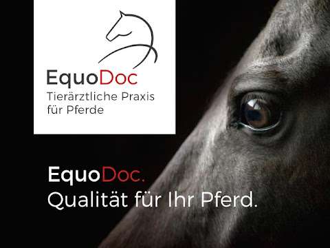 Ansicht 1 von EquoDoc-Tierärztliche Praxis für Pferde in Wolfenbüttel, Braunschweig, Salzgitter