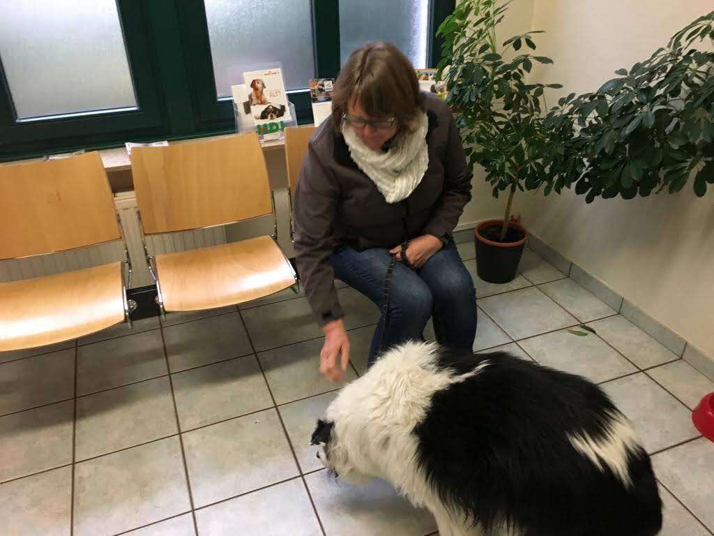 Ansicht 2 von Tierärztliche Gemeinschaftspraxis Beeke & Grijsen
