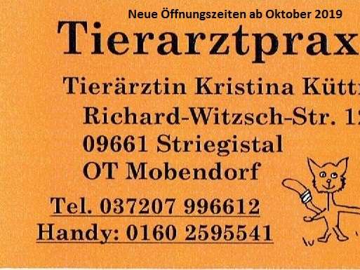 Ansicht 1 von Kristina Küttner