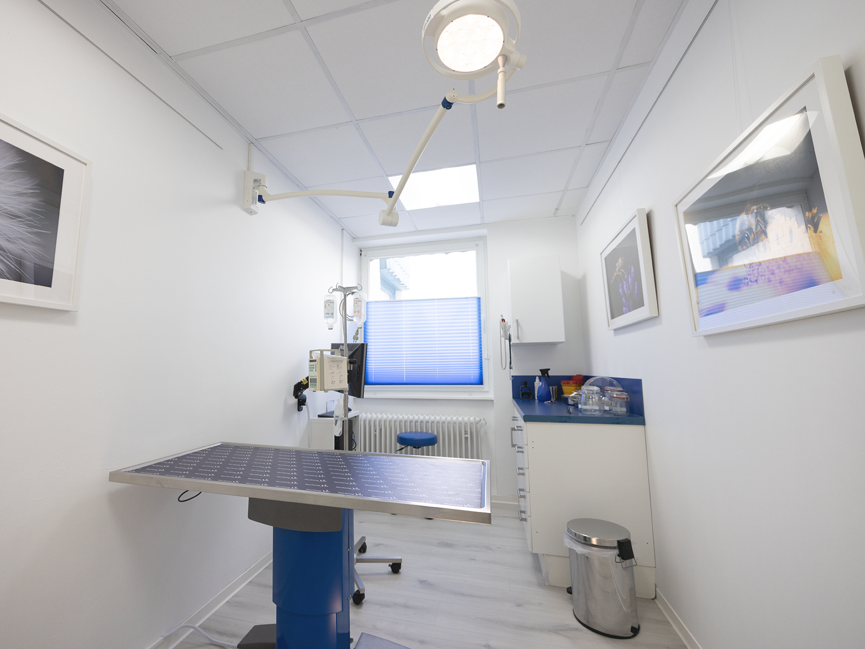 Ansicht 3 von Huchting-Vet