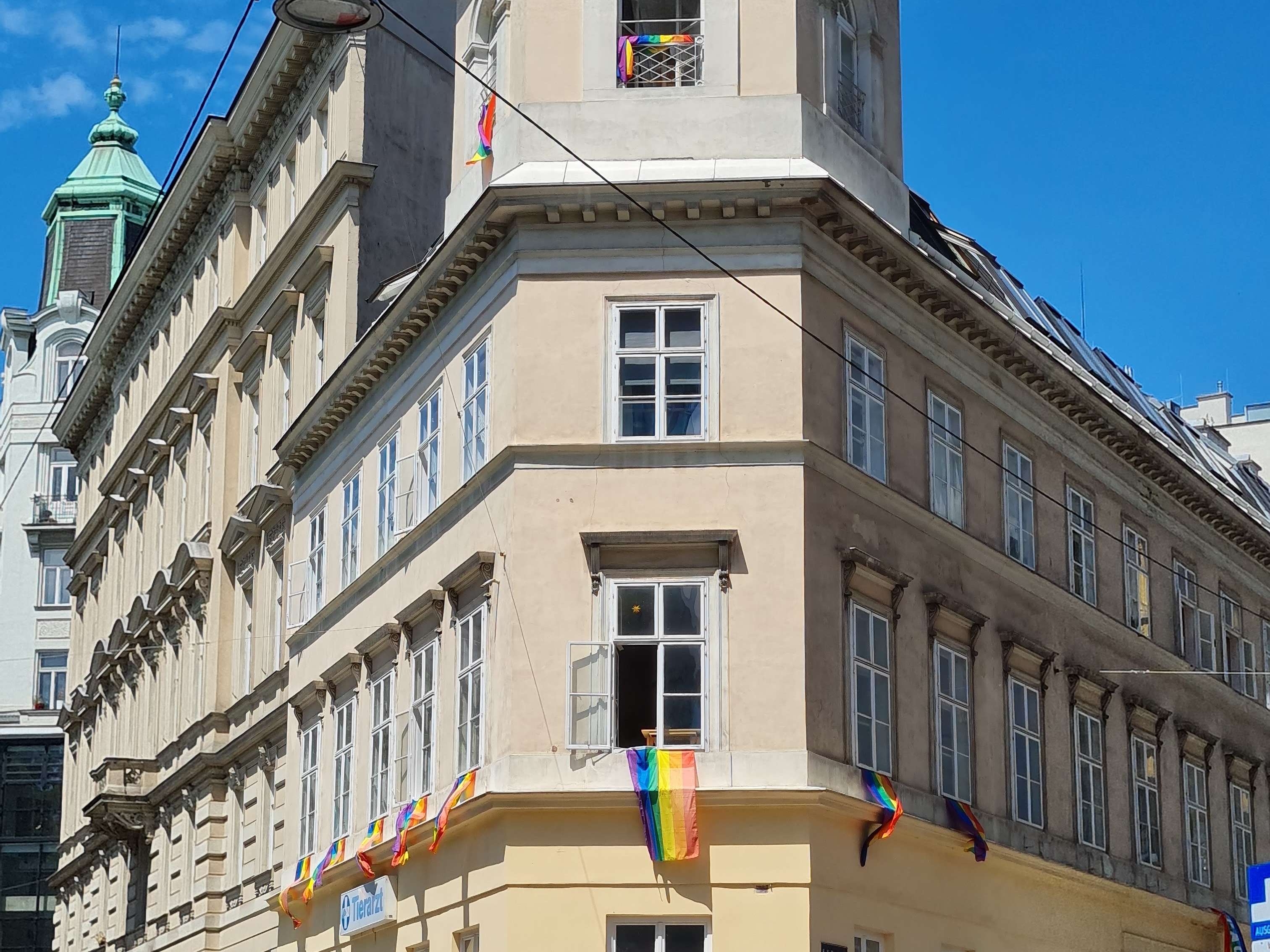 Ansicht 3 von Tierarzt