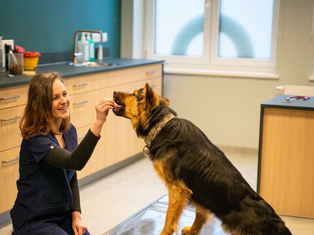 Ansicht 3 von Dr.med.vet. Petra Geisser Tierärztin