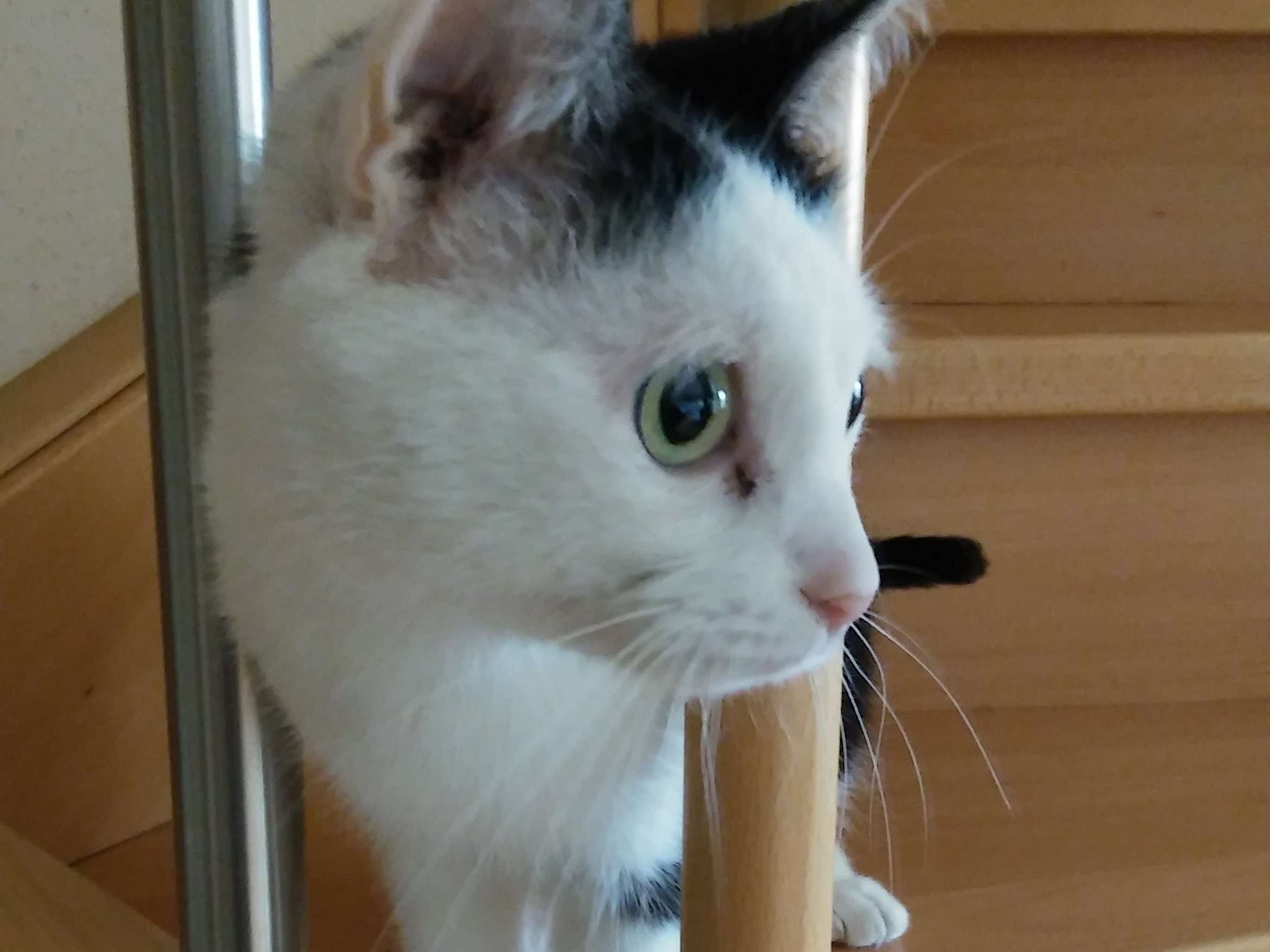 Ansicht 2 von Tierklinik Neuhofen