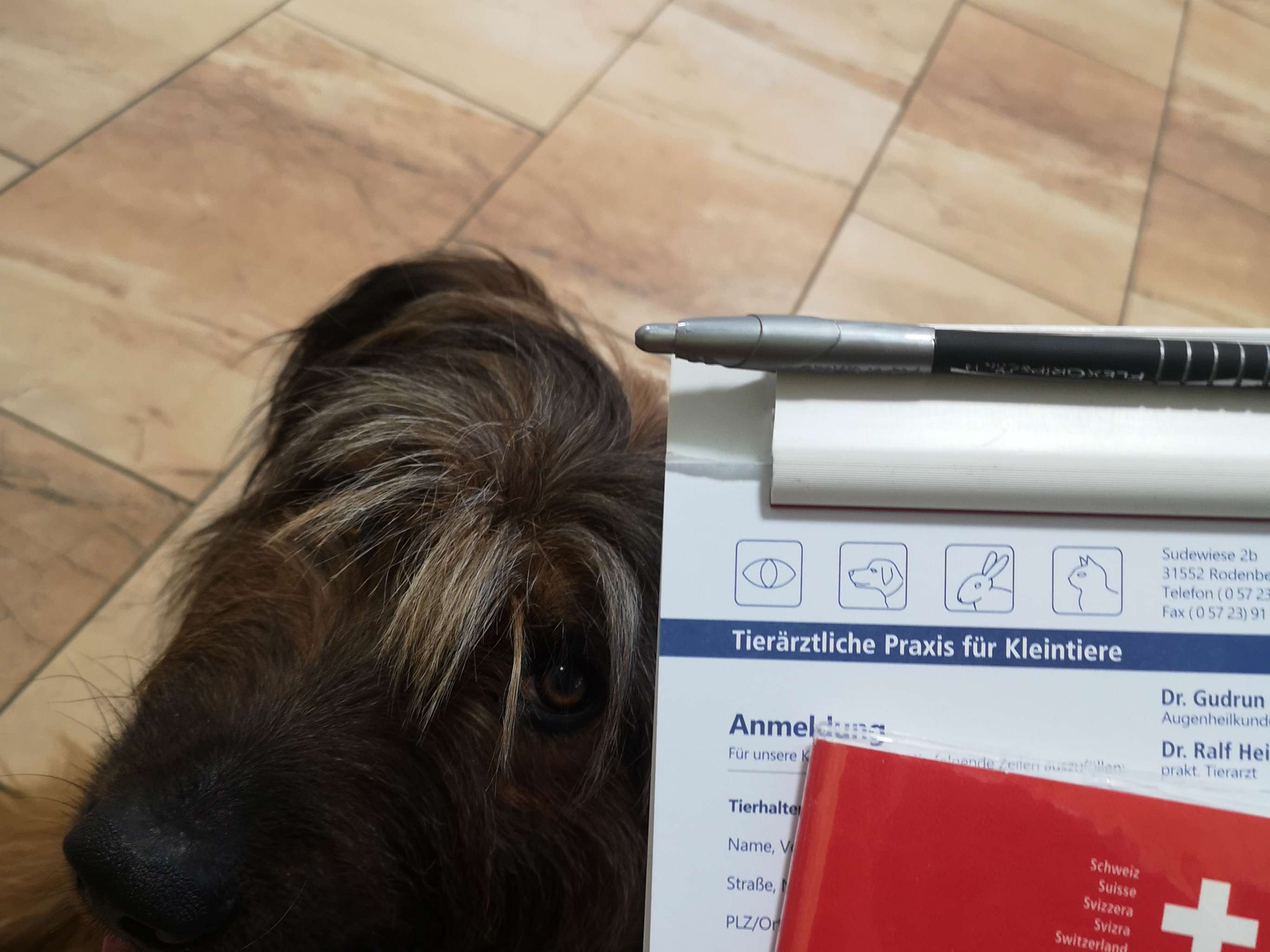 Ansicht 3 von Tierärztliche Praxis für Kleintiere