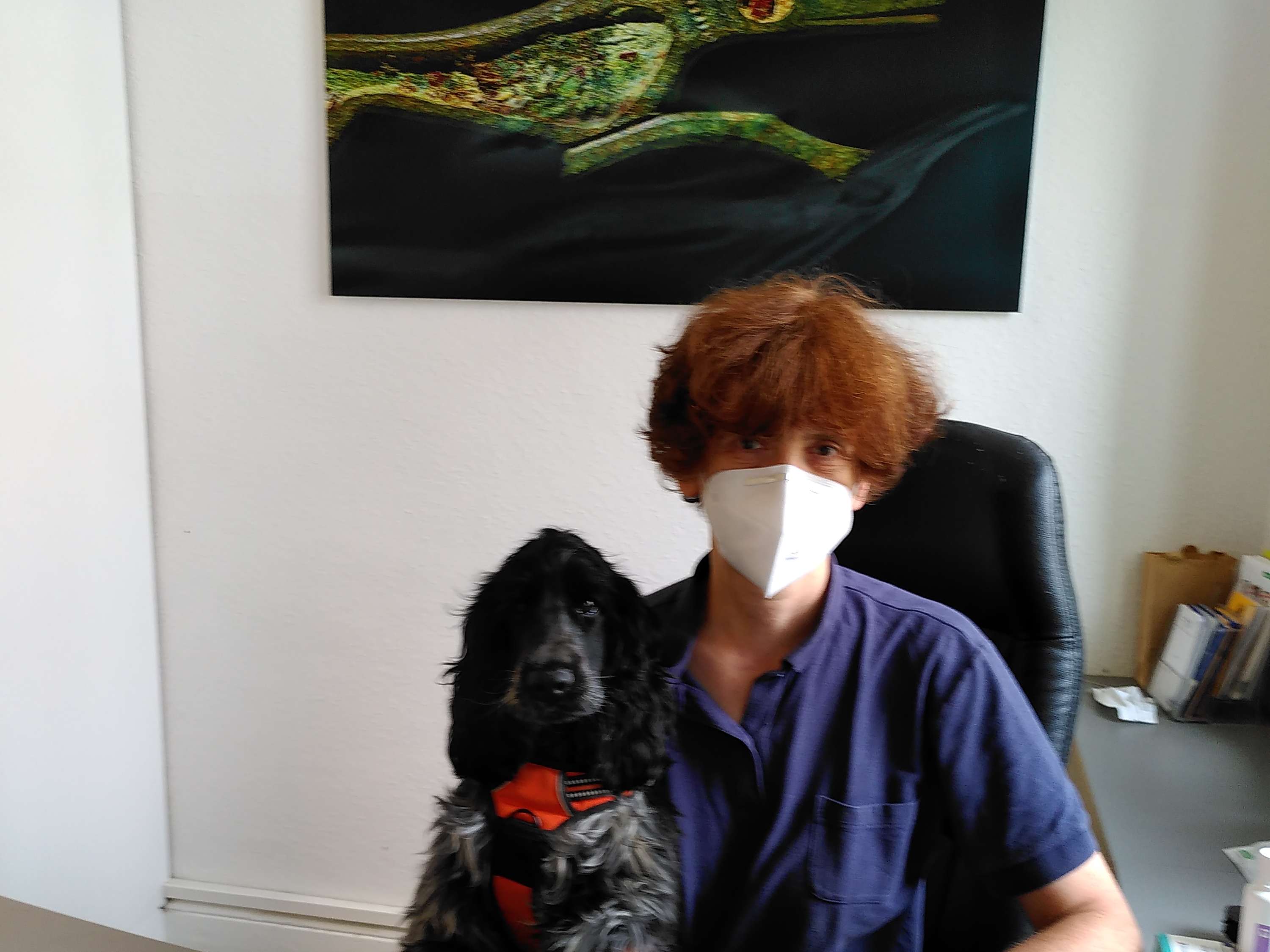 View 1 of Kleintierpraxis Dr.med.vet. Ulrike Thome