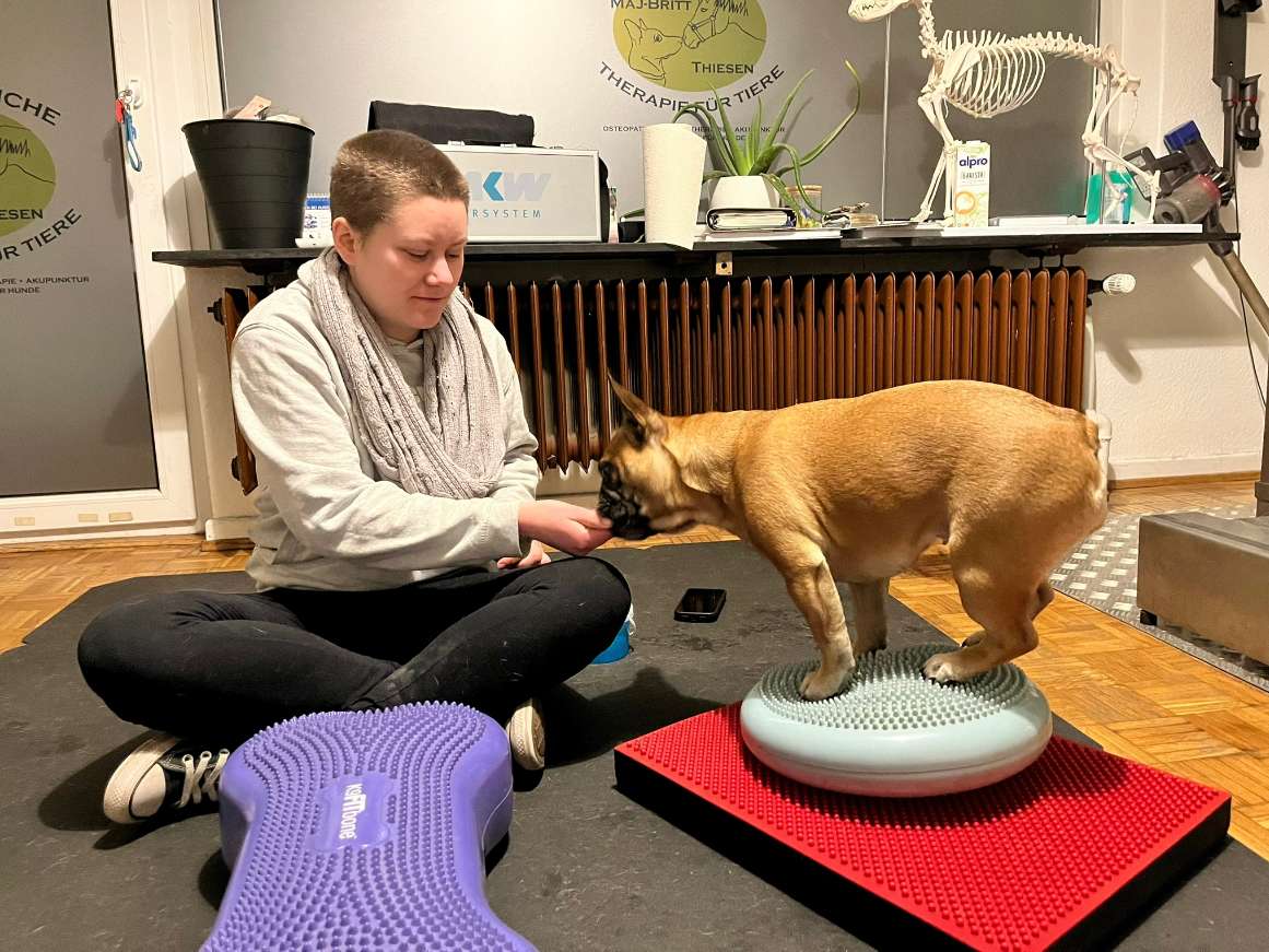 Ansicht 1 von Tierphysiotherapie Maj-Britt Thiesen