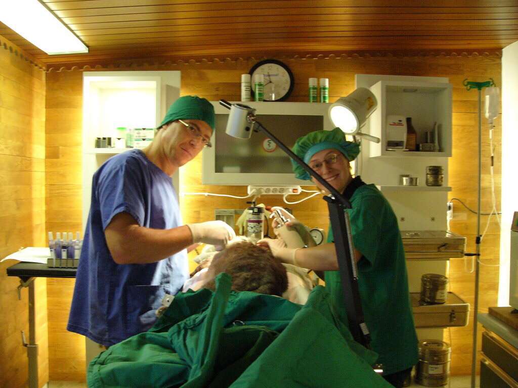 Ansicht 3 von Rosengartenkleintierpraxis Dr. med. vet. Shay Soriano