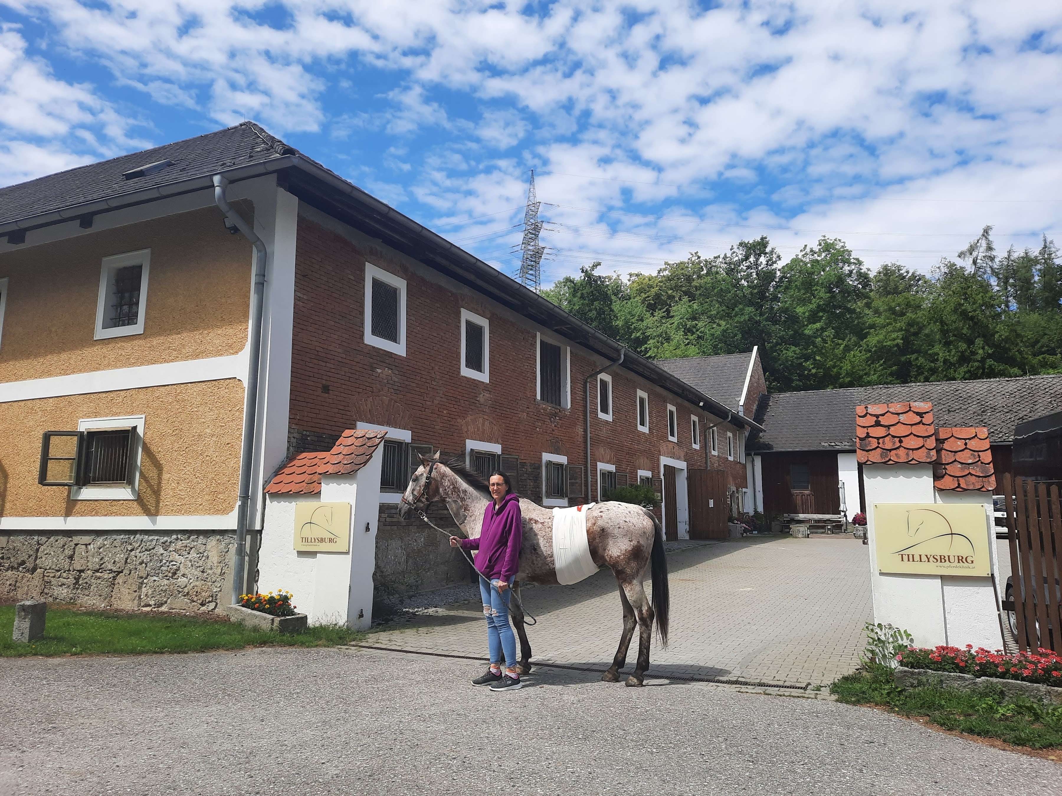 Ansicht 2 von Pferdeklinik Tillysburg