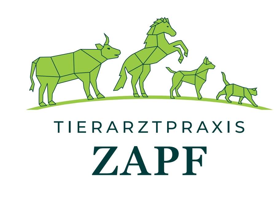 Ansicht 3 von Tierarztpraxis Dr. Anne Zapf