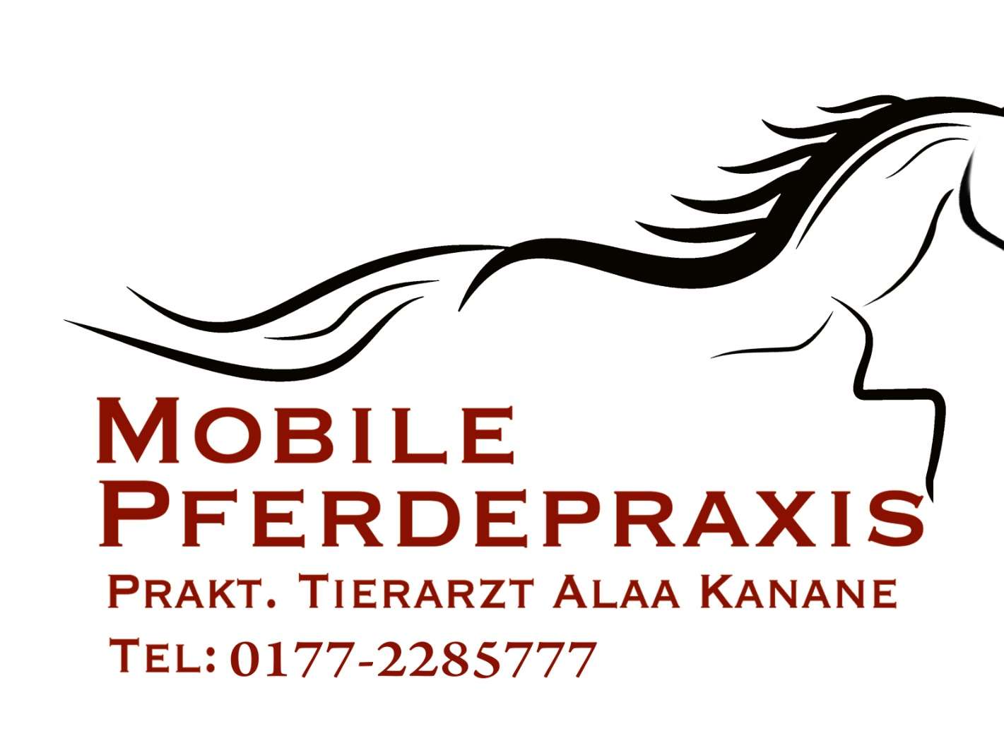 Ansicht 3 von Mobile Pferdepraxis, Prakt. Tierarzt Alaa Kanane