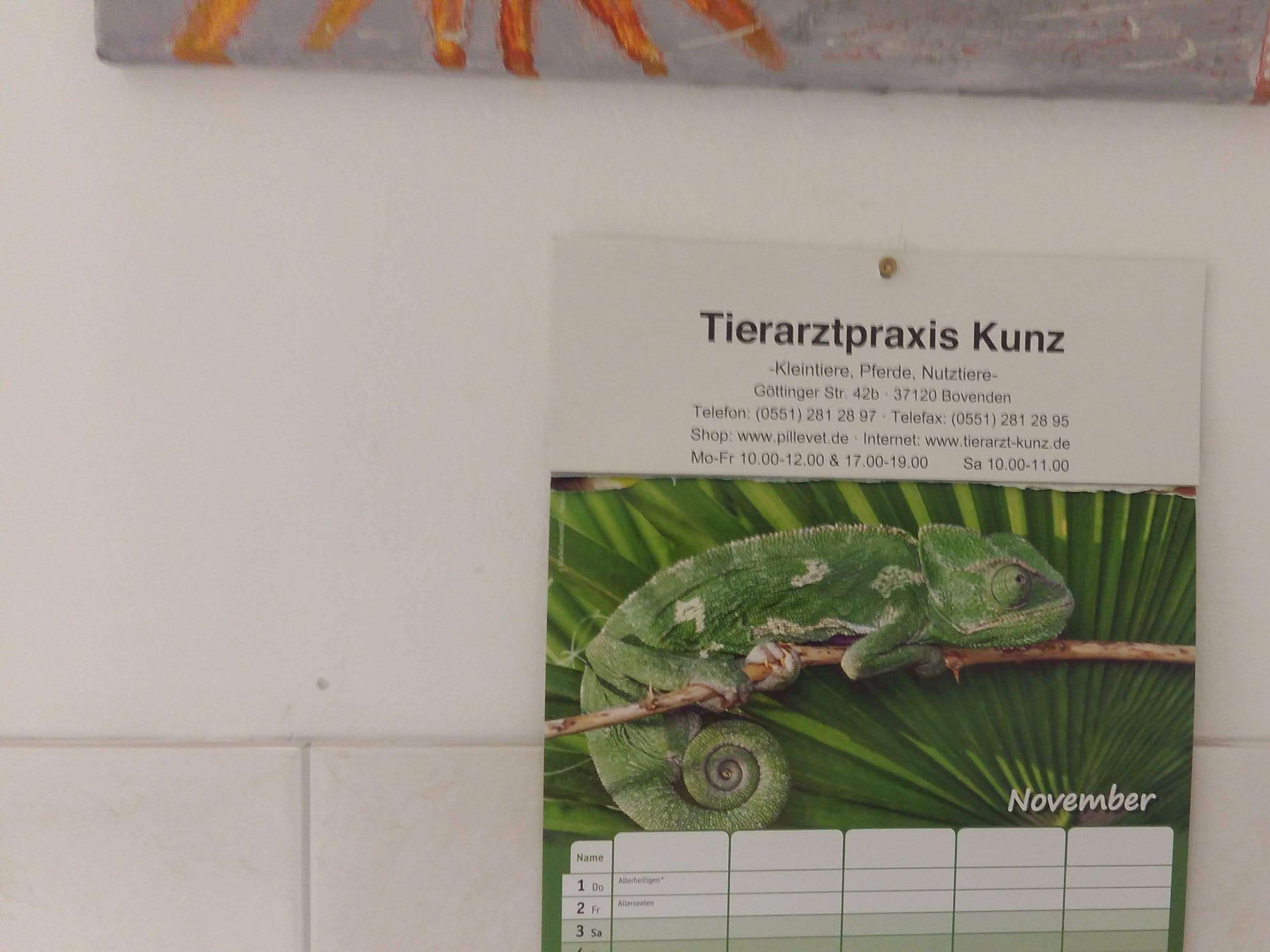 Ansicht 3 von Tierärztliche Praxis Nikolaus Kunz