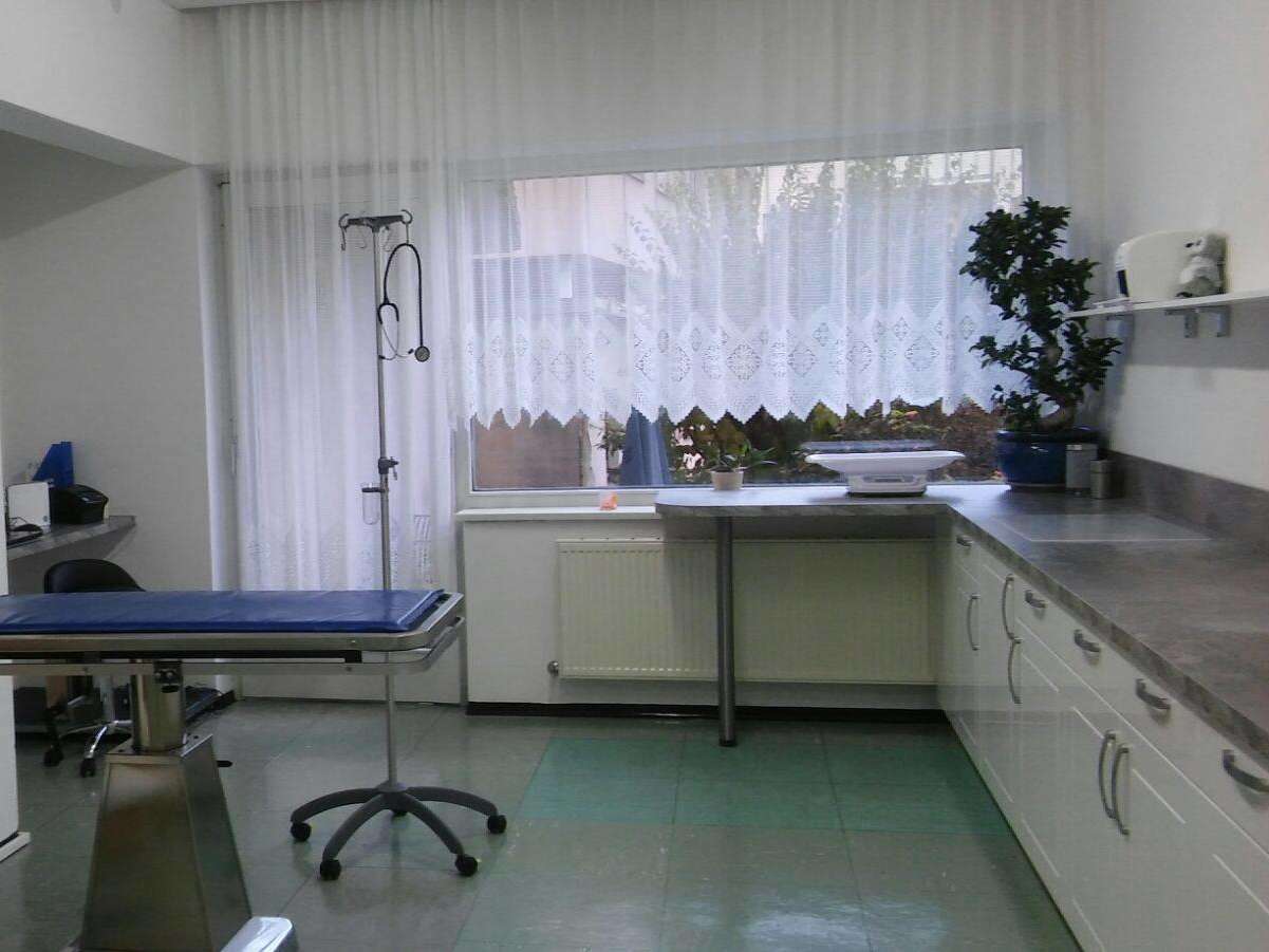 View 1 of Kleintierordination Zeltweg Mag. Alexandra Brandl