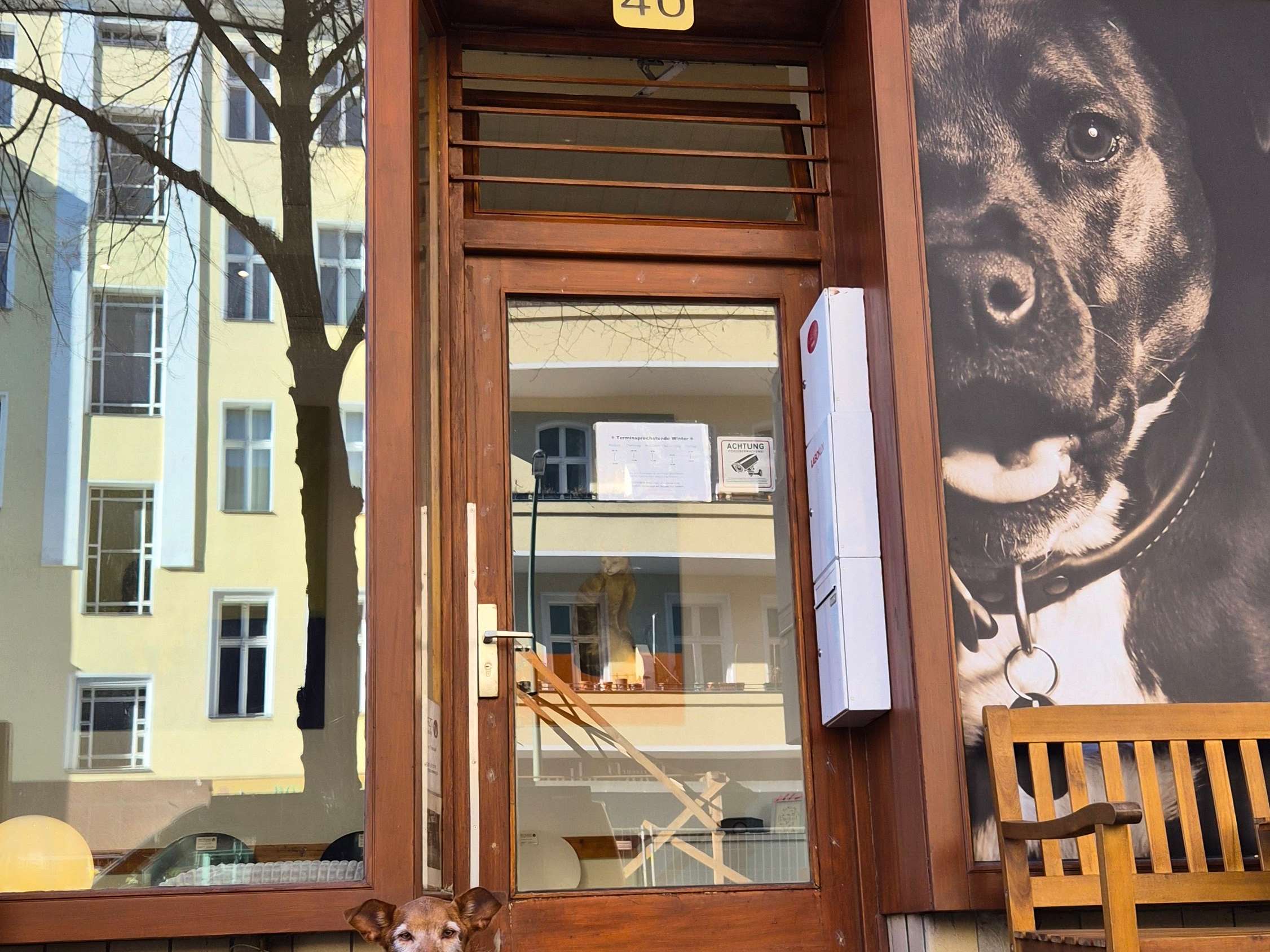 Ansicht 2 von DER TIERARZT Dr. Theobald in Schöneberg