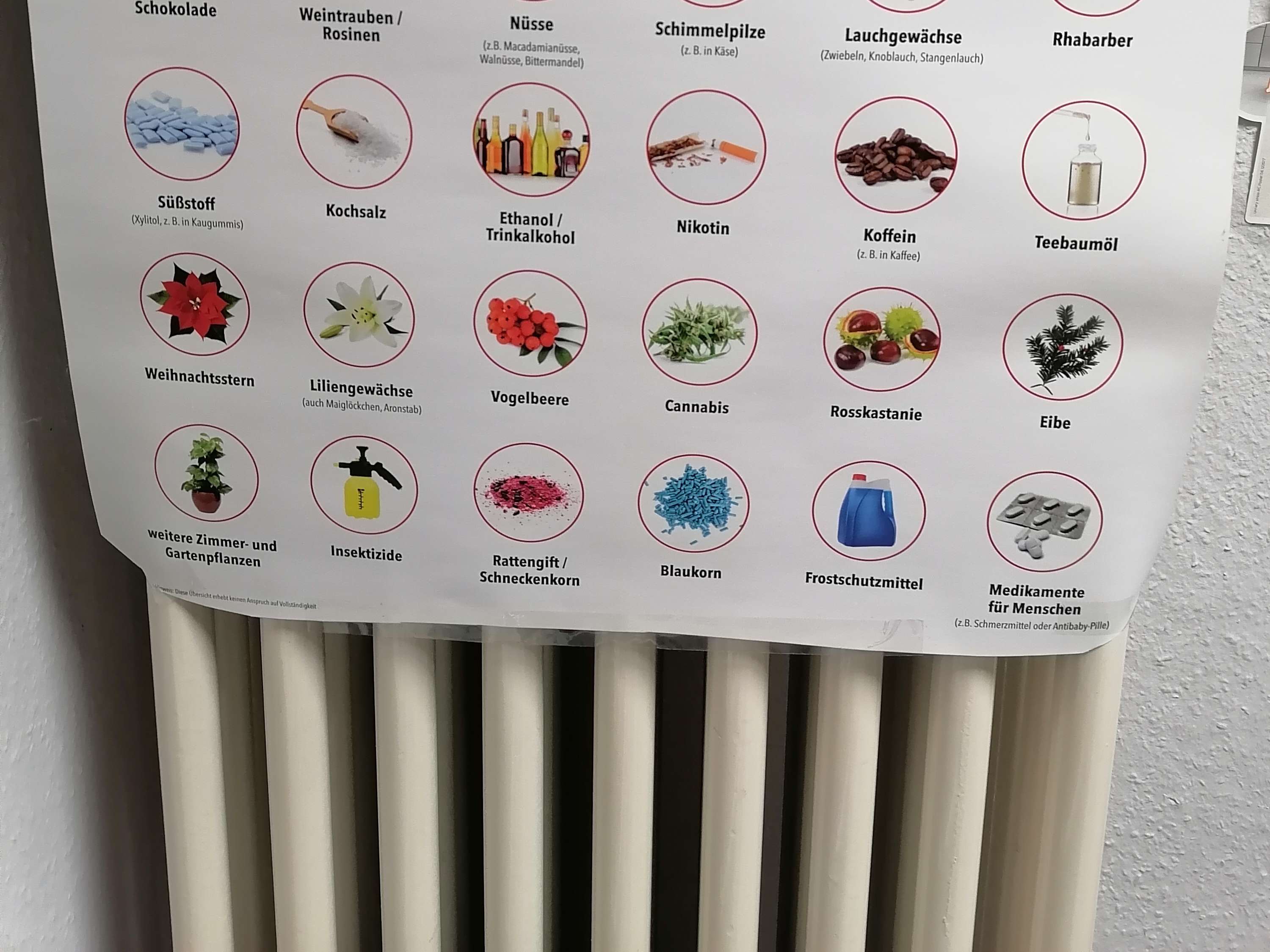 Ansicht 3 von Kleintierpraxis Breitling