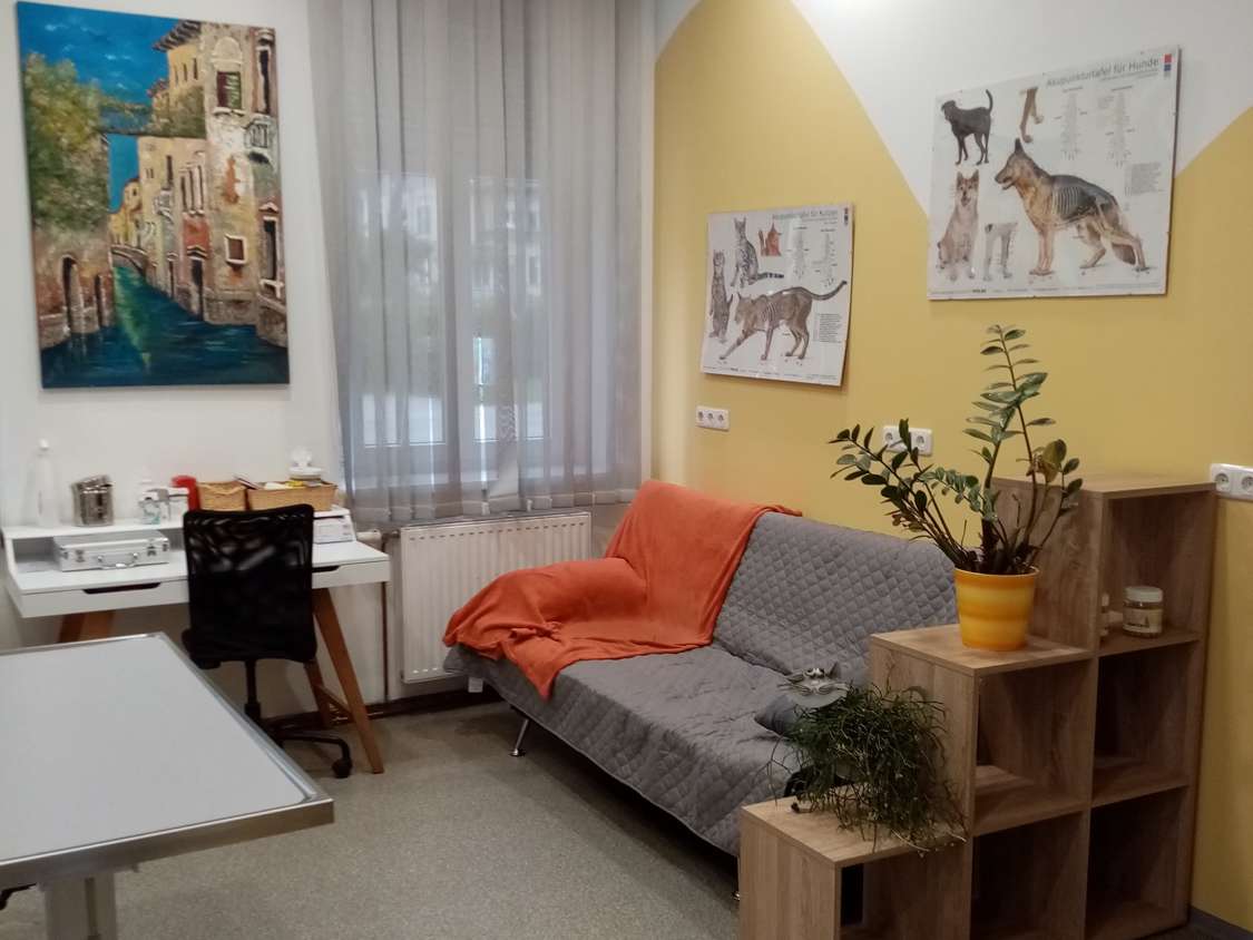 Ansicht 1 von Tierarztpraxis Gratwein-Straßengel OG