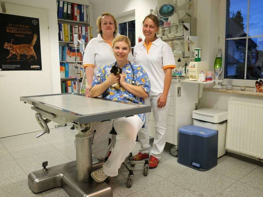 Ansicht 2 von Dr. Andrea Sedar