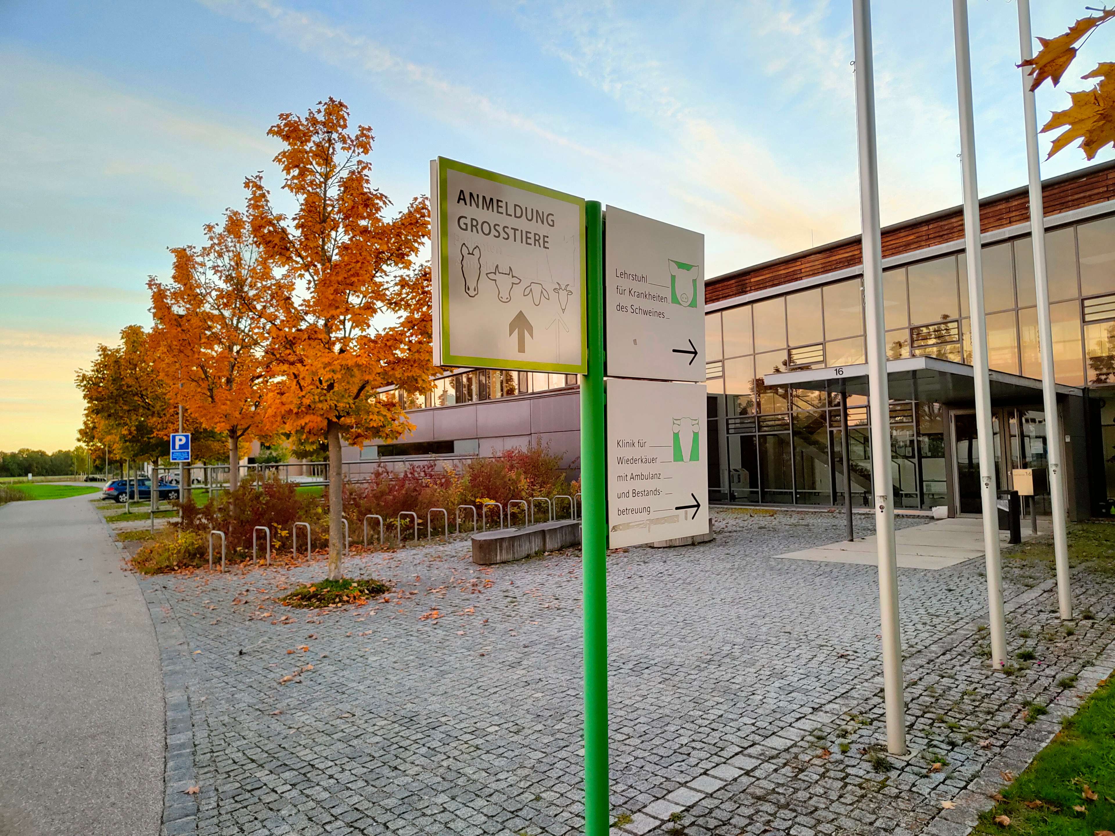 Ansicht 1 von Klinik für Pferde, LMU München