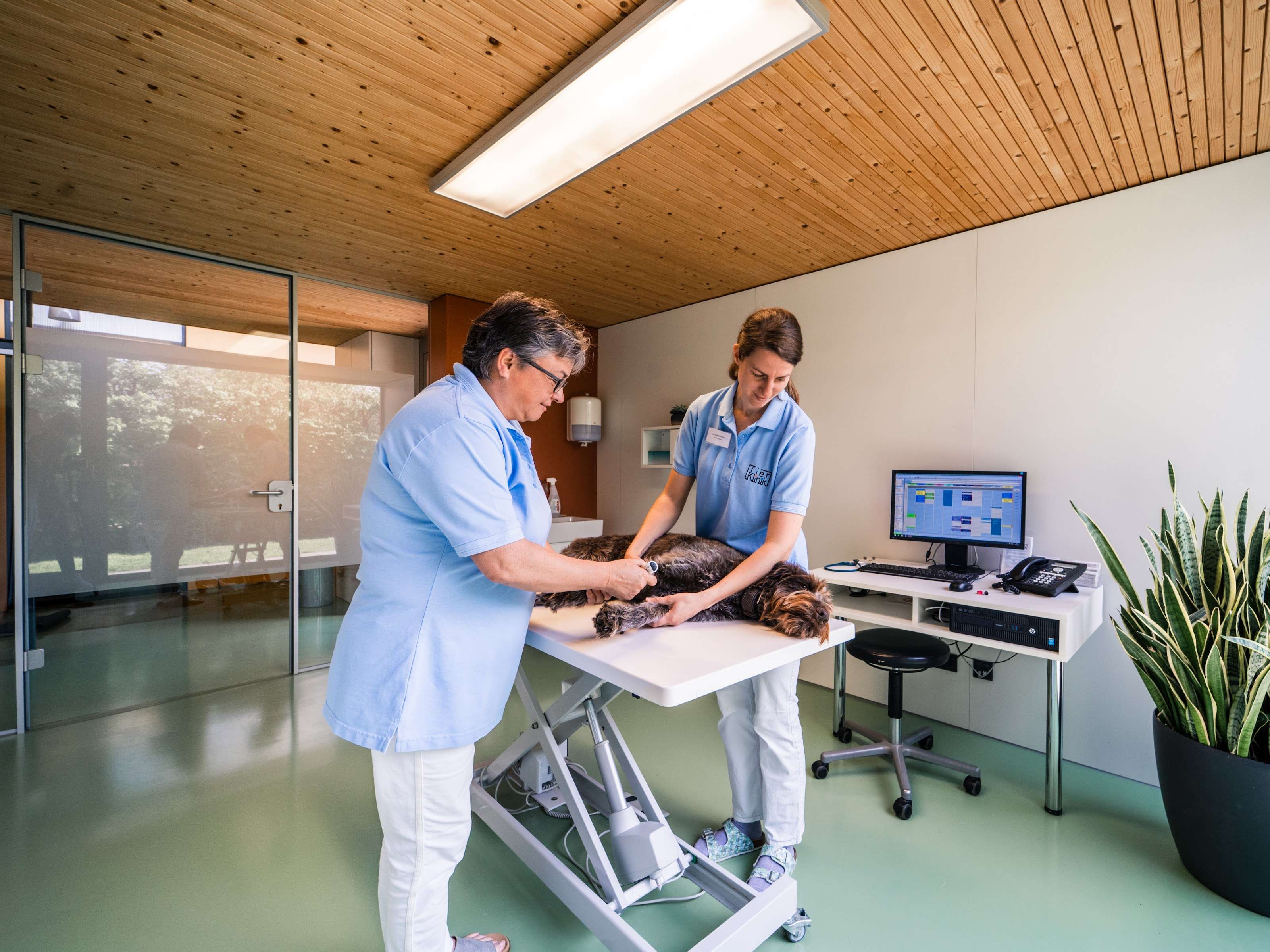 Ansicht 2 von Tierklinik Schwarzmann Rankweil OG