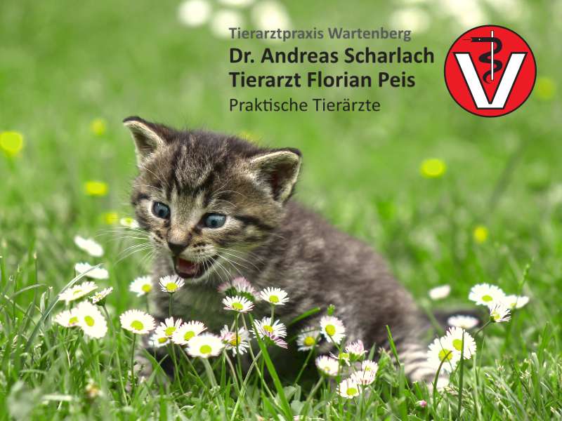 View 1 of Dr. Andreas Scharlach / TA Florian Peis Tierarztpraxis Wartenberg