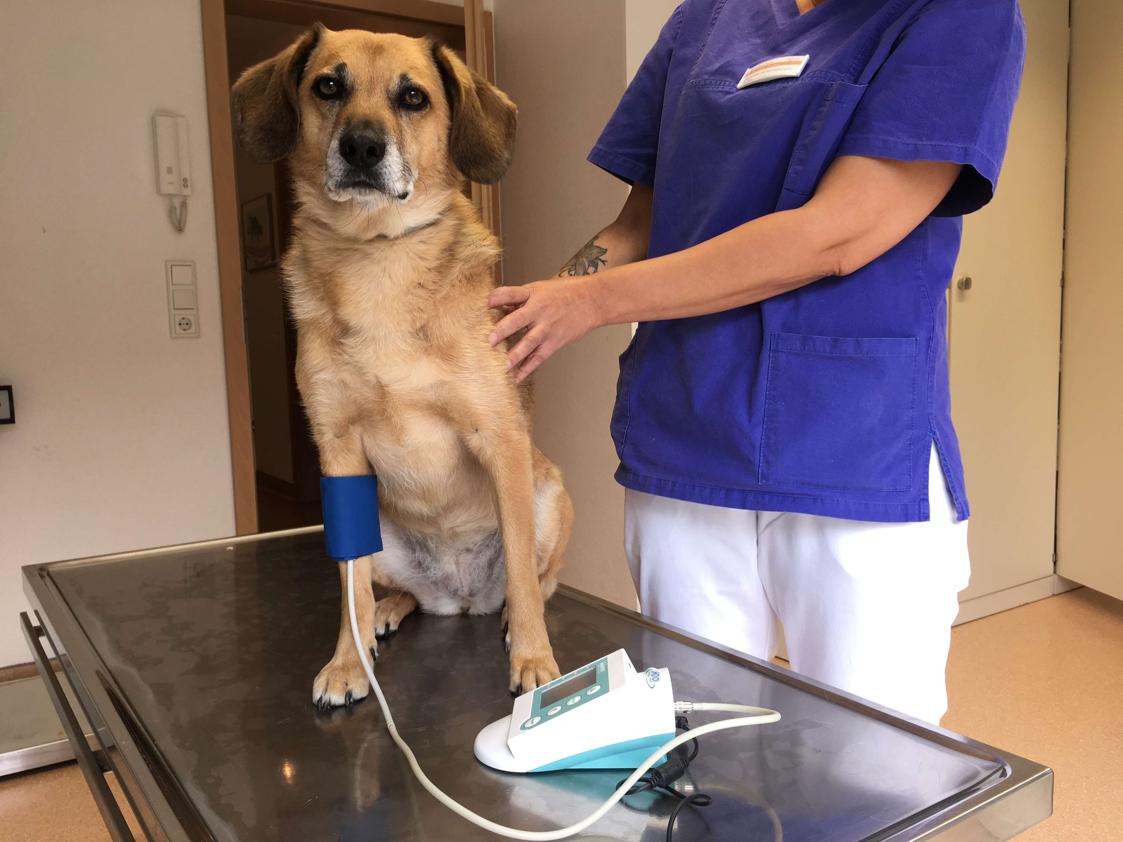 Ansicht 2 von Dr. med. vet. Annegret Kaspers