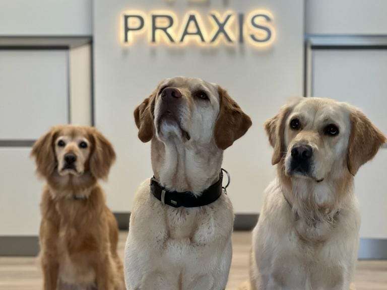 Ansicht 1 von VETPraxis für Kleintiere GmbH
