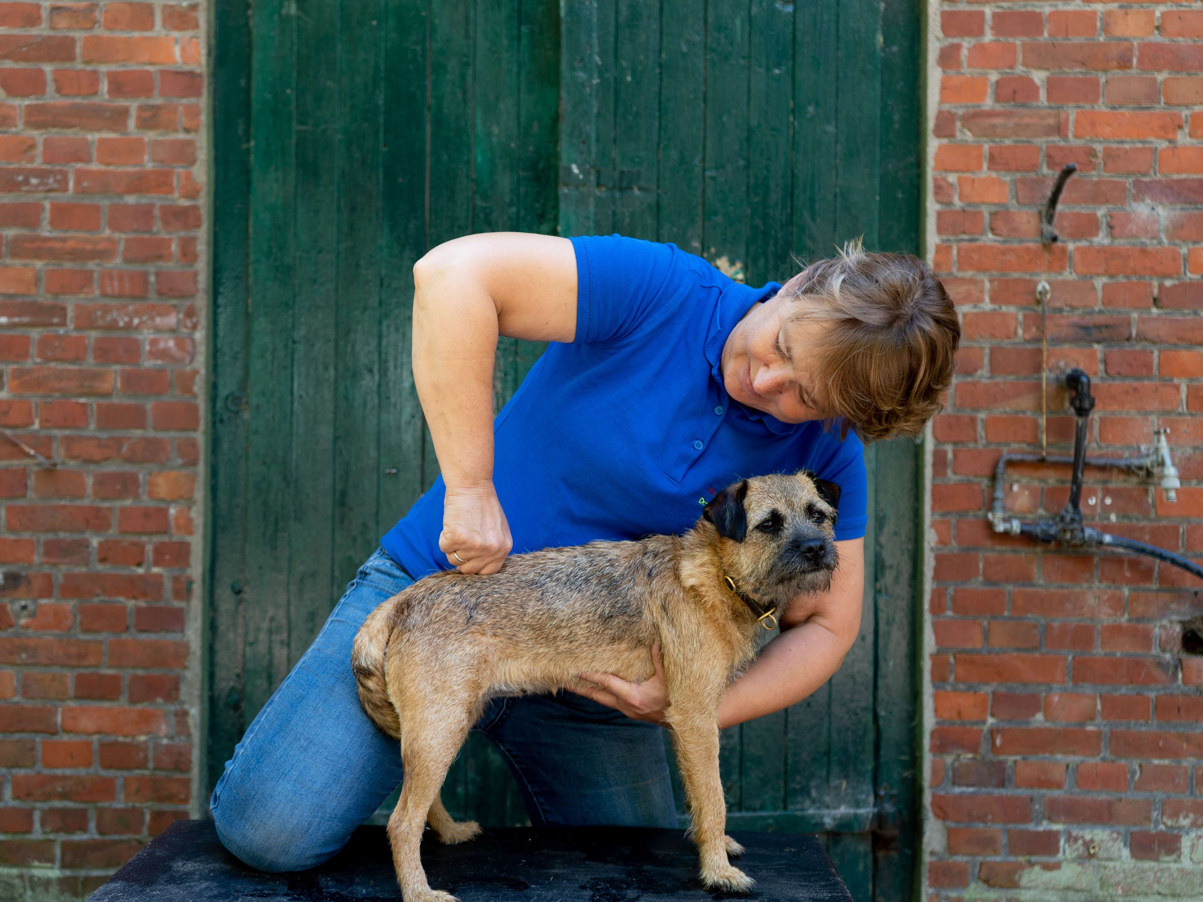 Ansicht 1 von FourLegsRehab